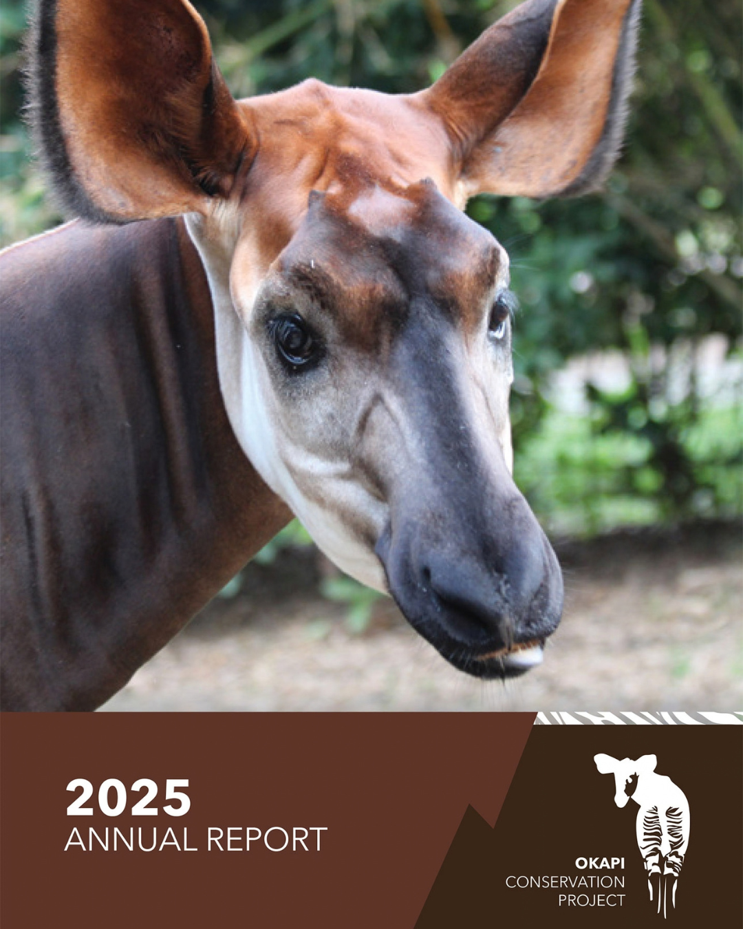 Our 2025 Annual Report is now available.