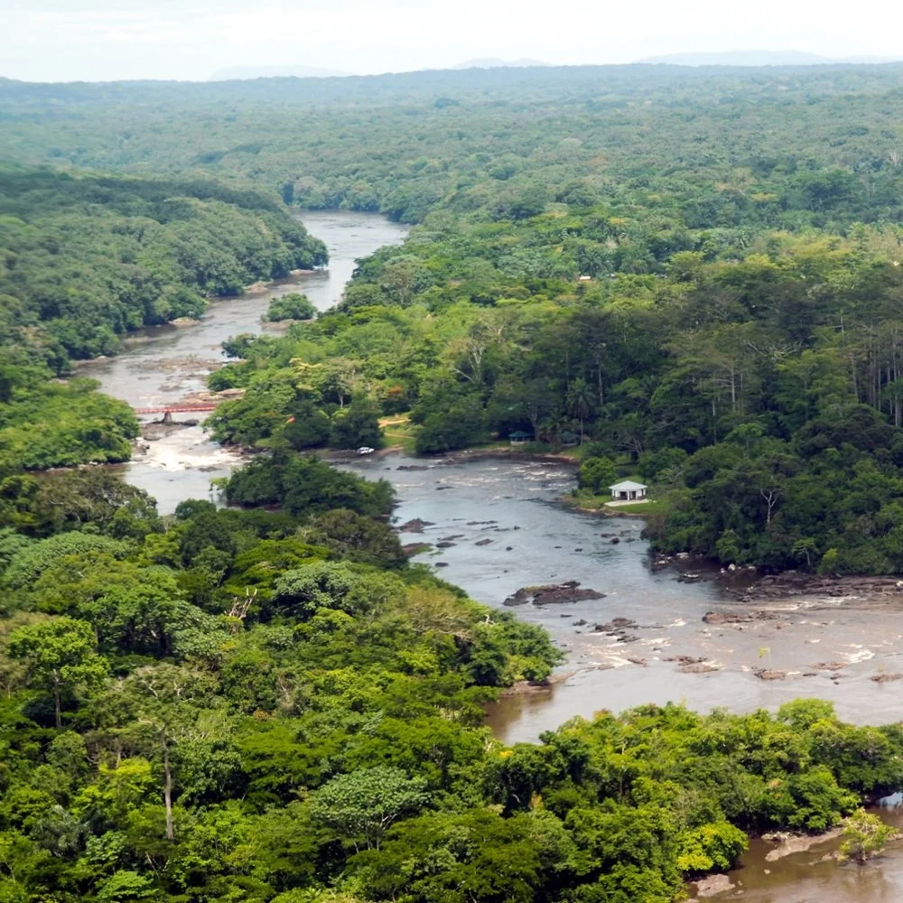 The Reserve — Okapi Conservation Project