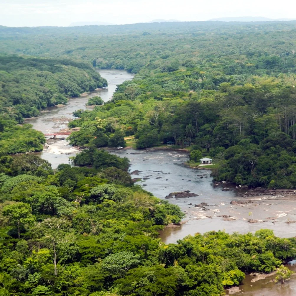 The Reserve — Okapi Conservation Project