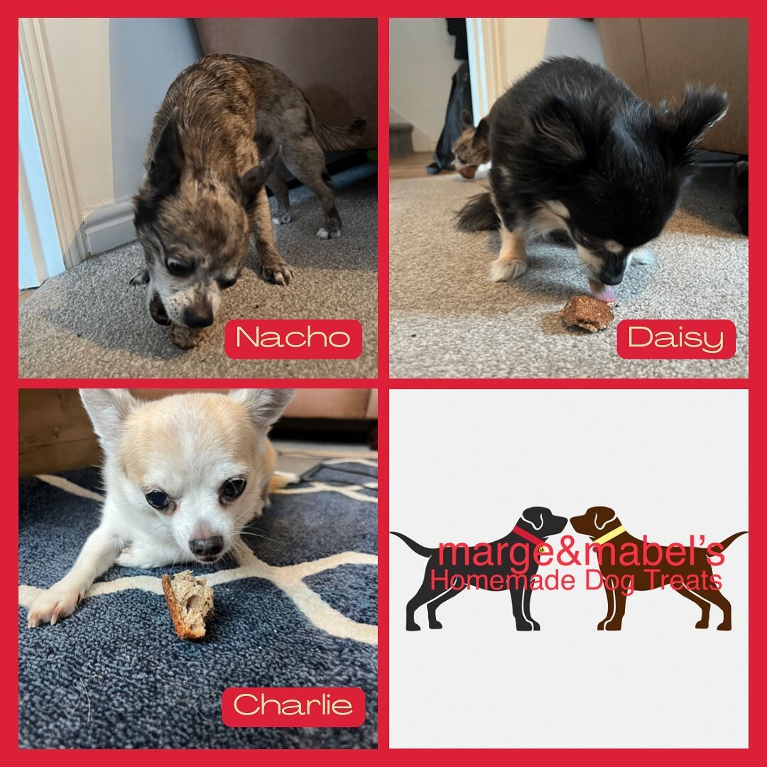 Thank you to @the_three_heads_of_cerberus for sending us these pics of Nacho, Daisy &amp; Charlie enjoying our homemade dog treats 🥰🐾🐶 

#dogsofinstagram #dogtreats #dogtreatsfordays #dogtreatrecipe #dogfeatures #dogfood #dogfoodrecipe #homemadedo