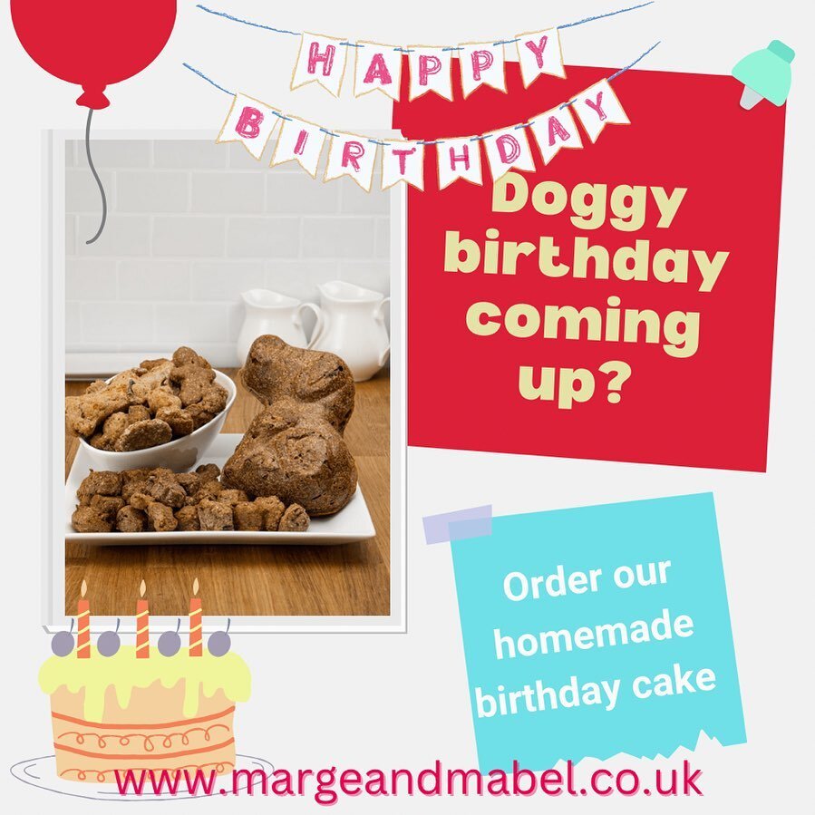 Birthday Bundle 🎉🥳

Celebrate your dog's birthday in style!

Free Delivery

Marge &amp; Mabel&rsquo;s delicious bundle filled with handmade assorted treats and a surprise birthday gift from the girls 🎂

#birthday #birthdaycake #dogbirthday #dogbir