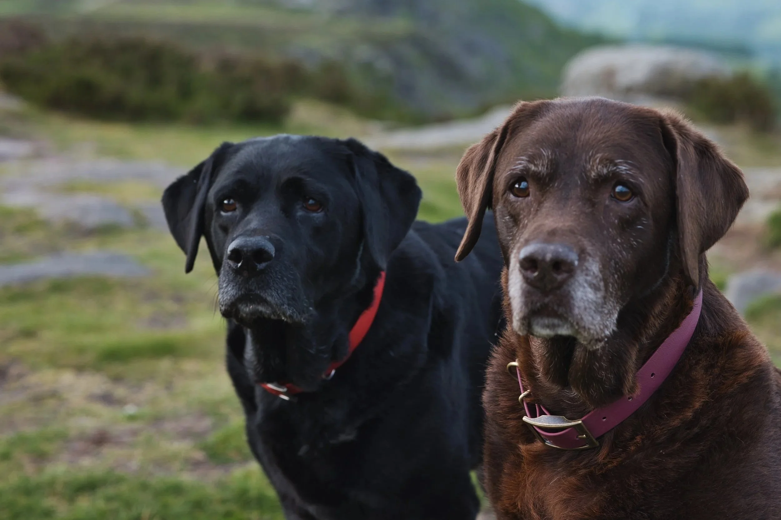 marge-and-mabel-2.jpg