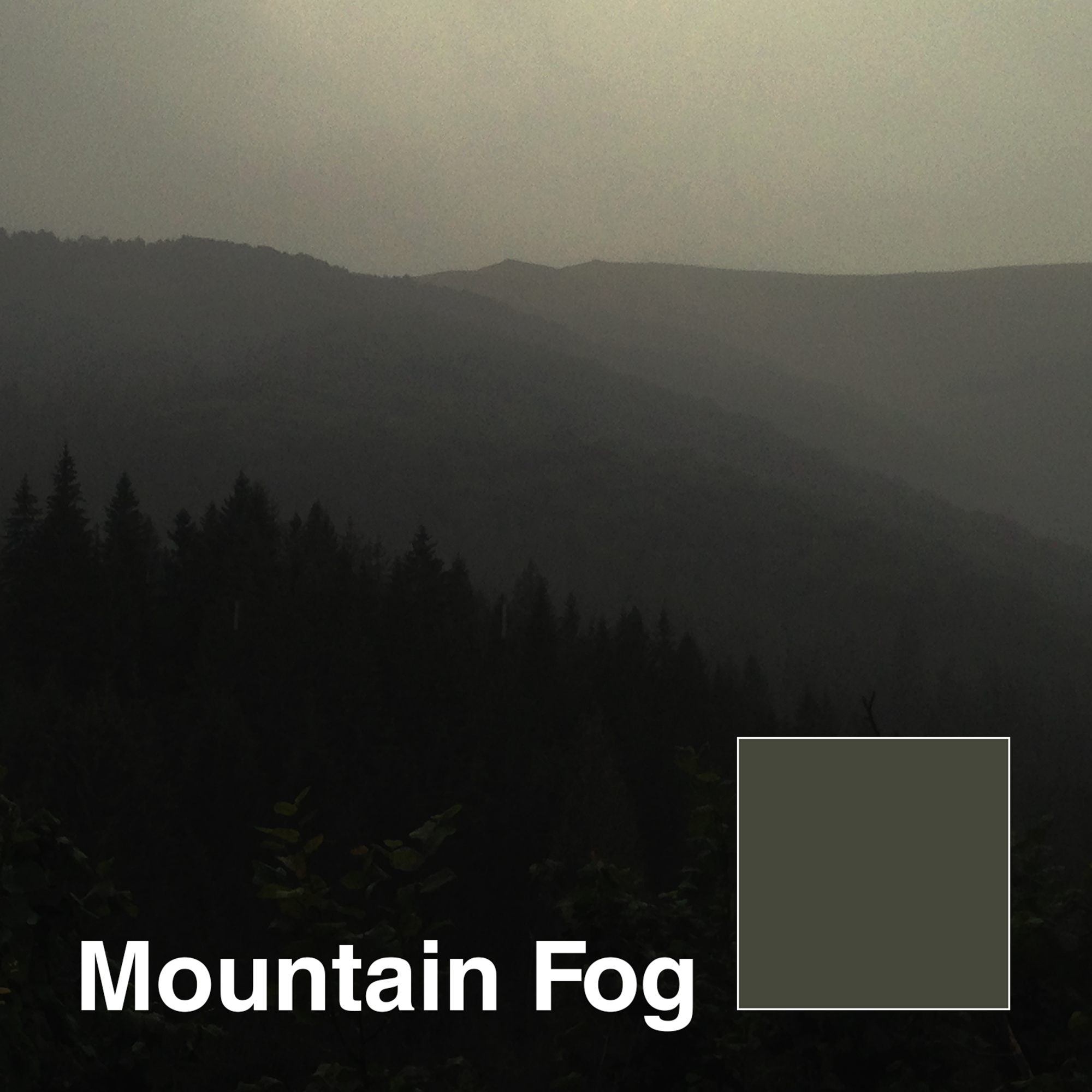 Mountain-Fog-title.png