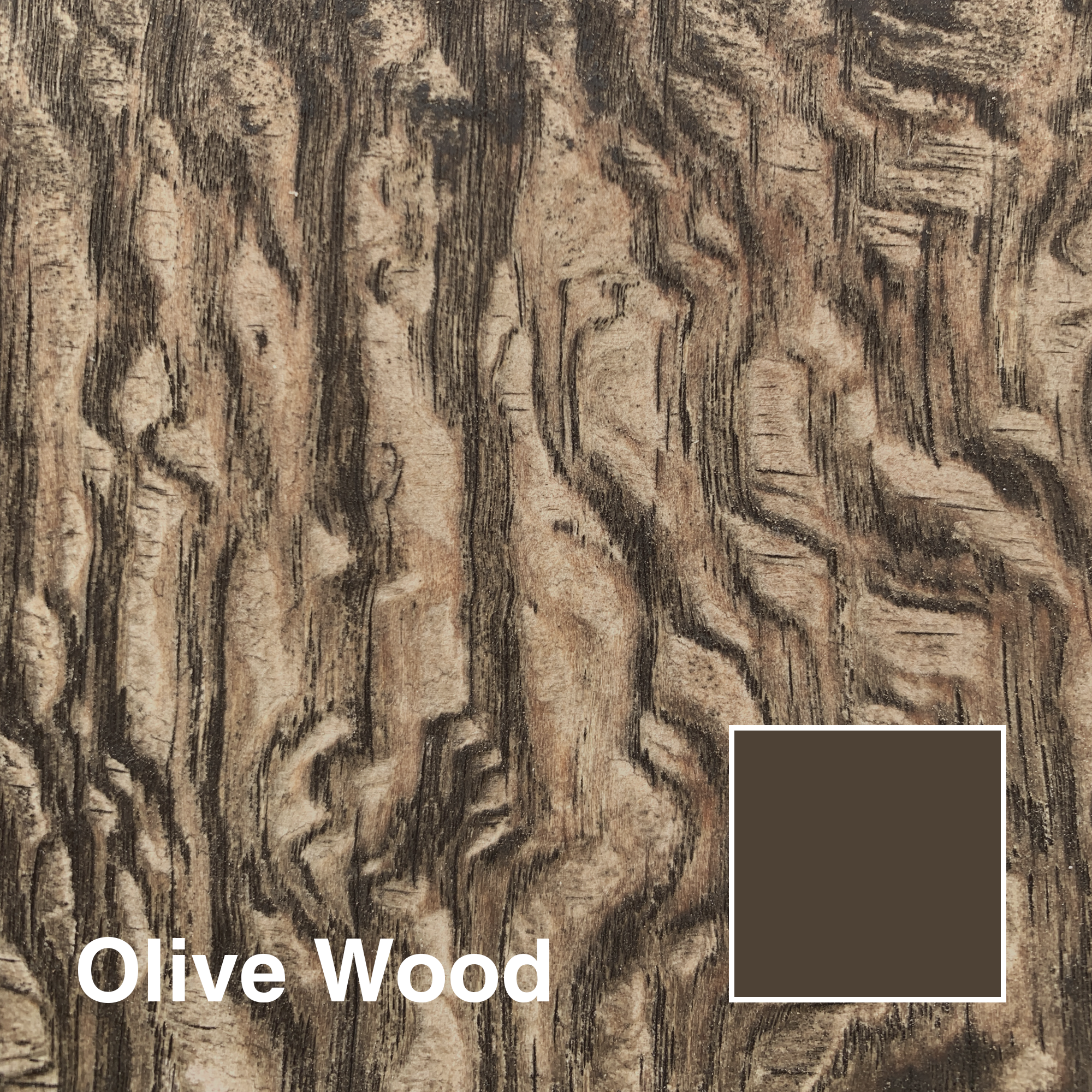 OLIVE-WOOD_title.png