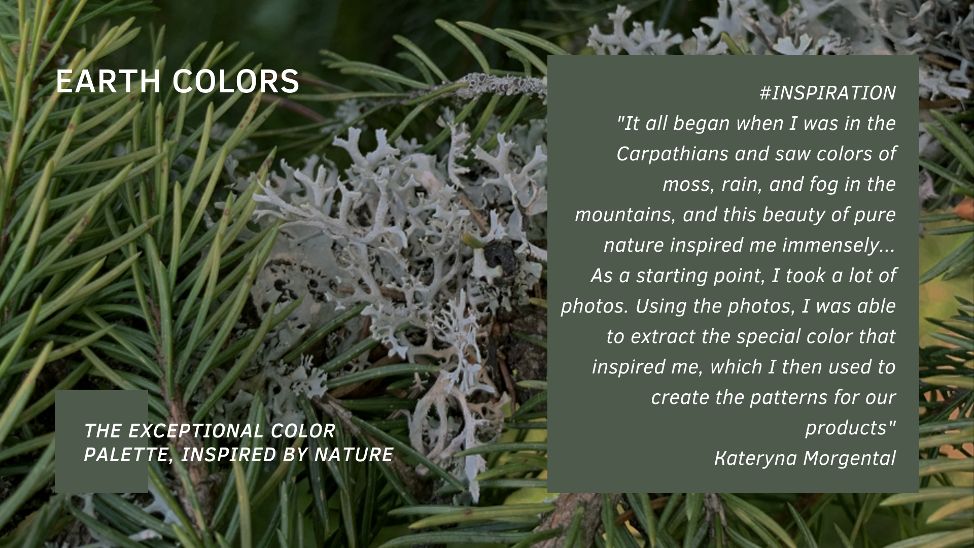 1  MORGENTAL brand ENGLISH (5).png