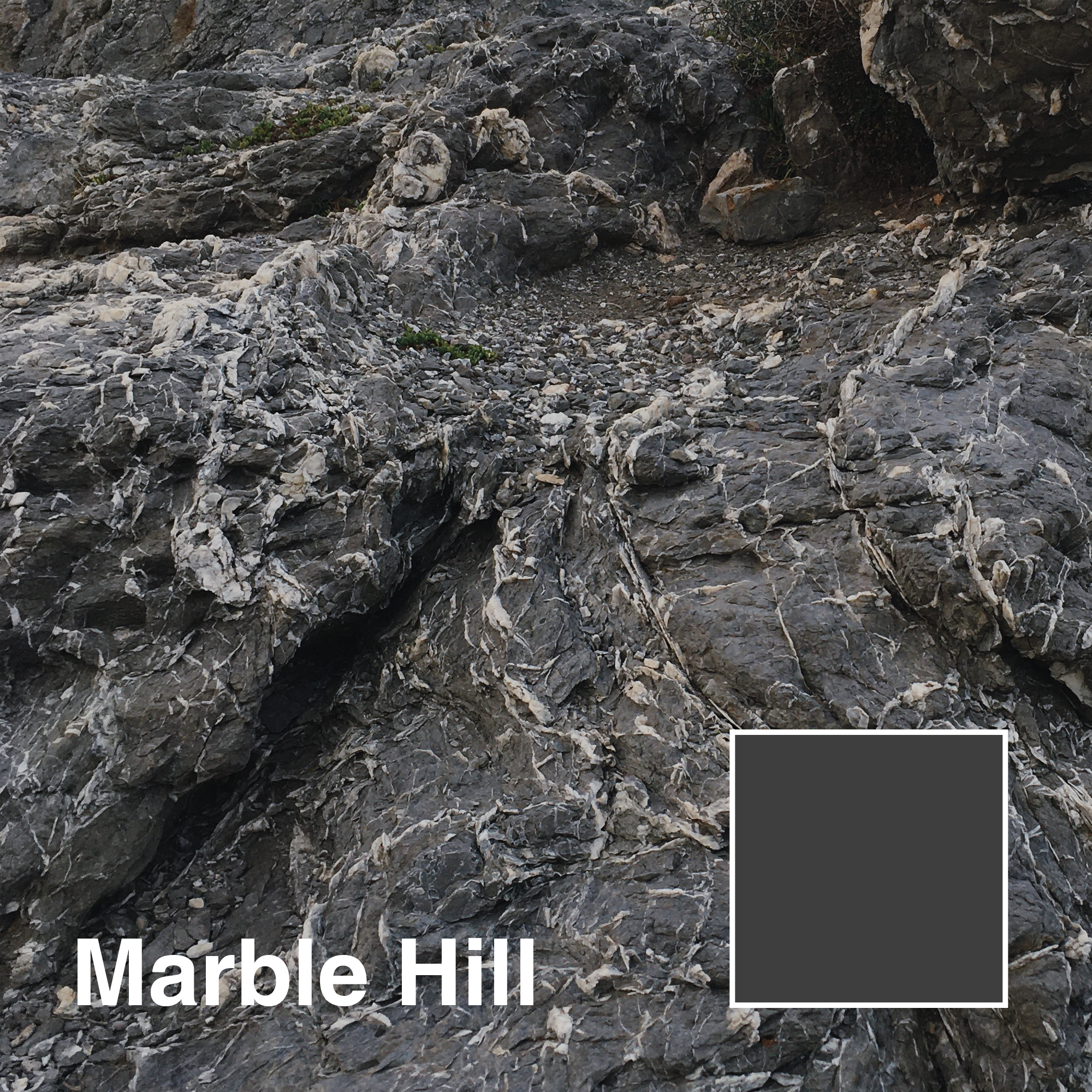 Marble-Hill-title.png