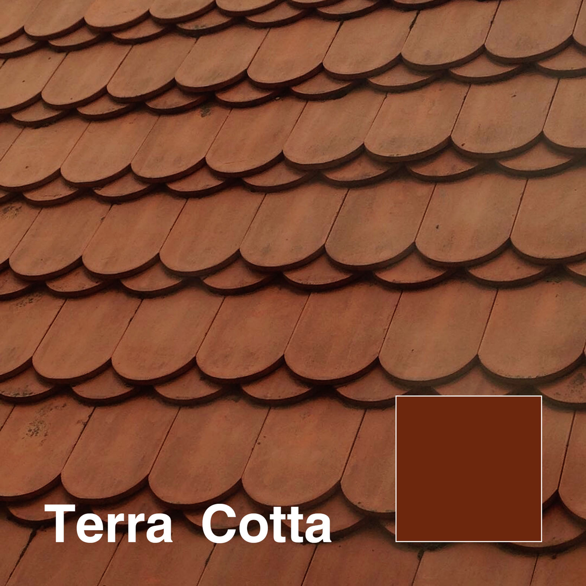 Terra-Cotta-title.png