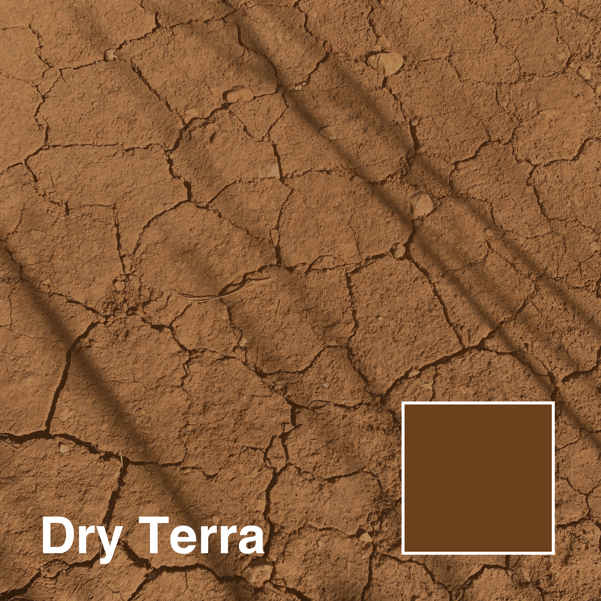 DRY-TERRA-title.png