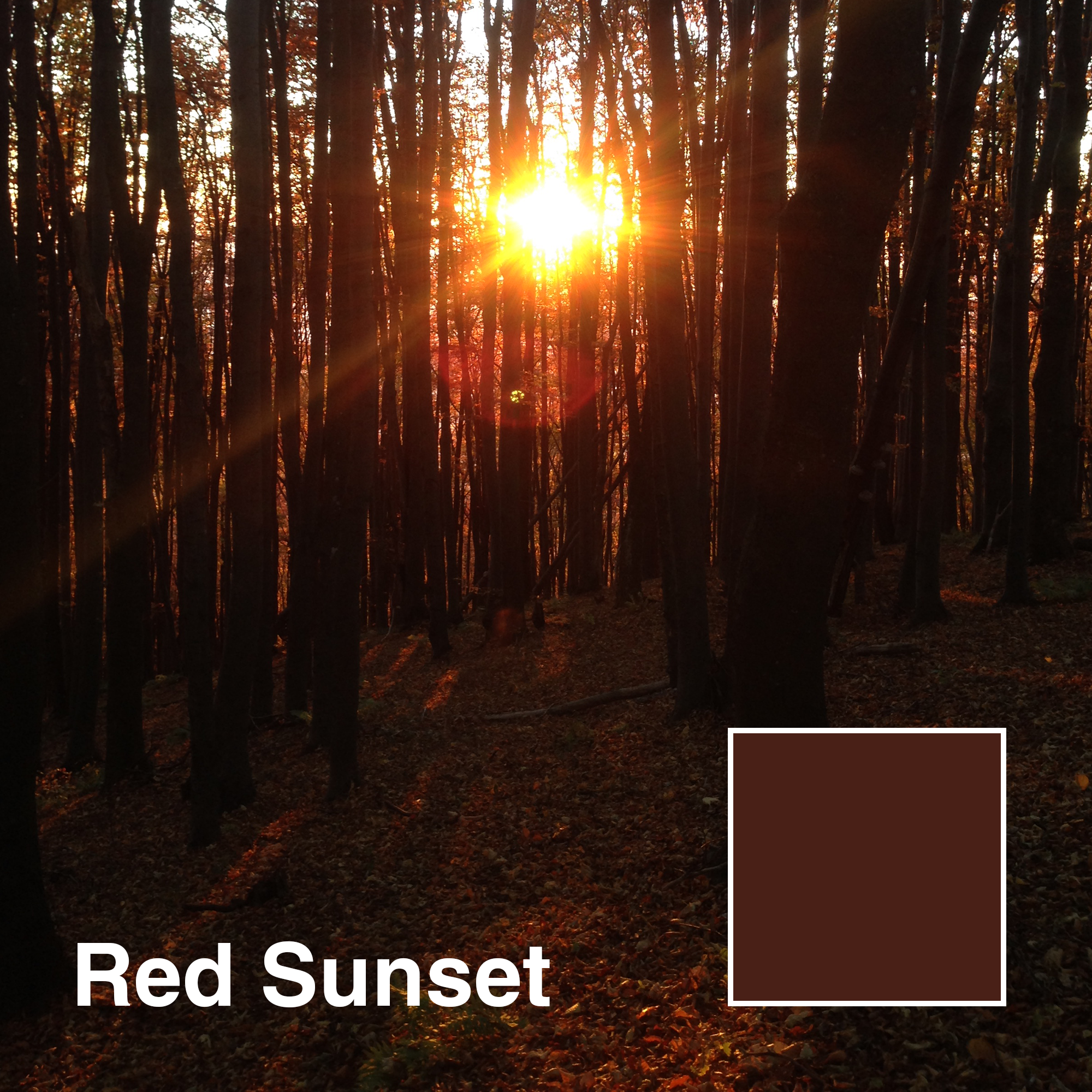 RED-SUNSET-title_.png