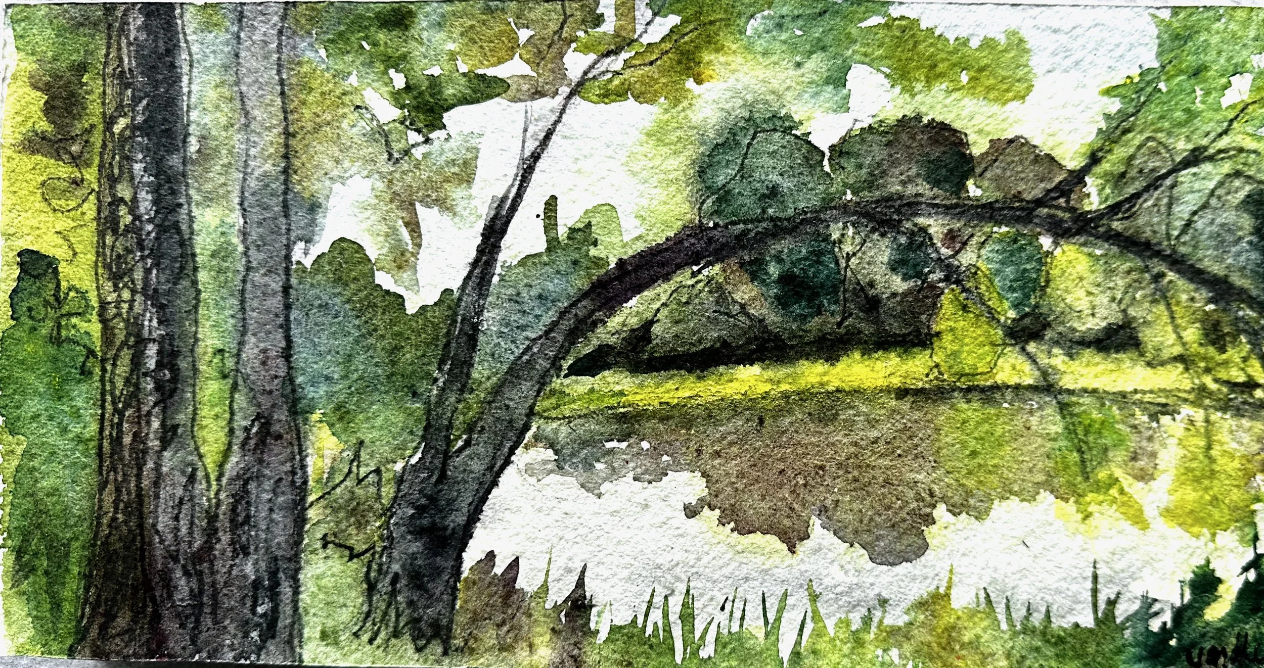 Meet Me by Our Tree-Is it a secret meeting place? Under the arching branch by the pond. Watercolor cold press paper mounted on 6x12x1.5" panel. UVLS archival varnish.