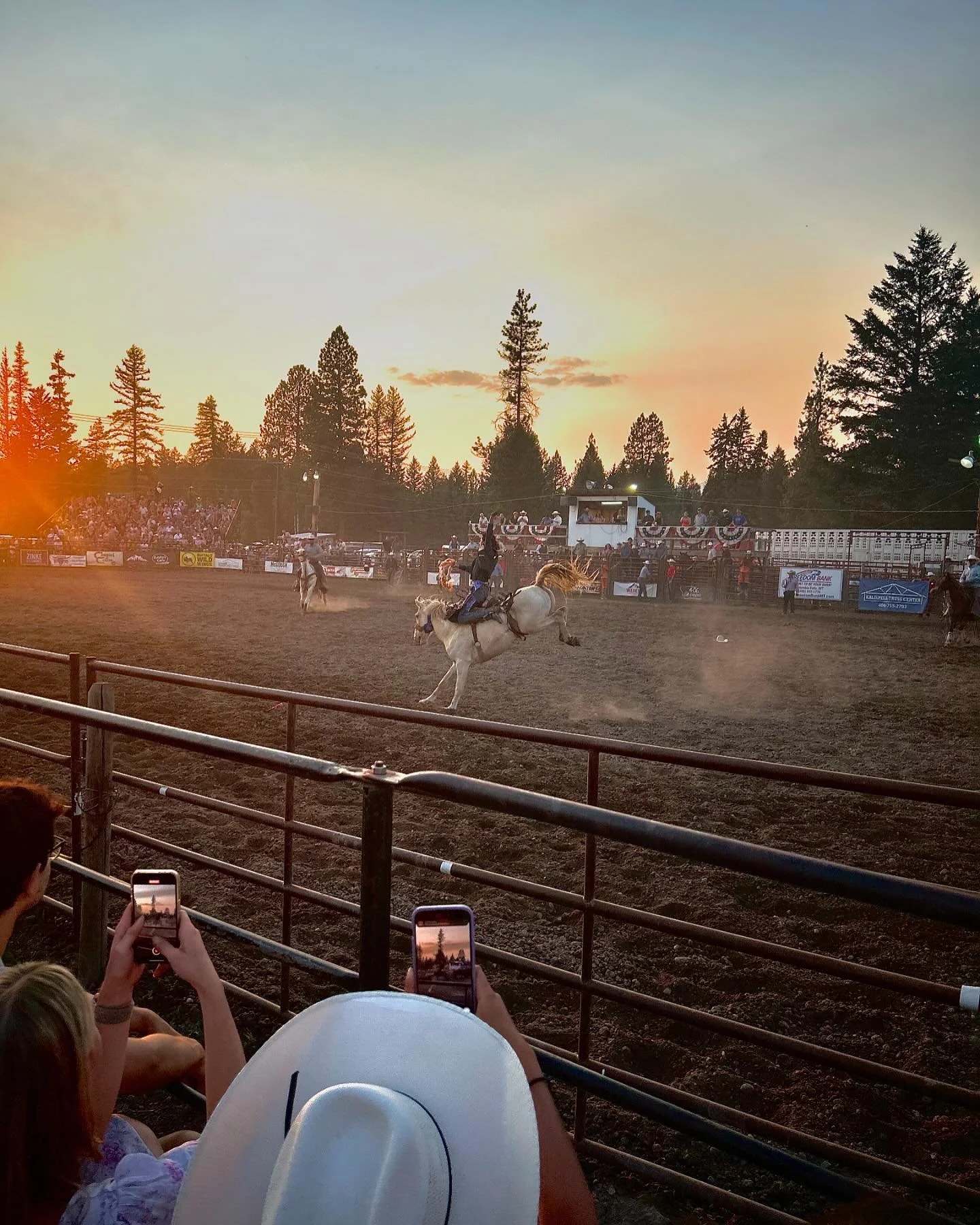 Shoulda been a cowboy