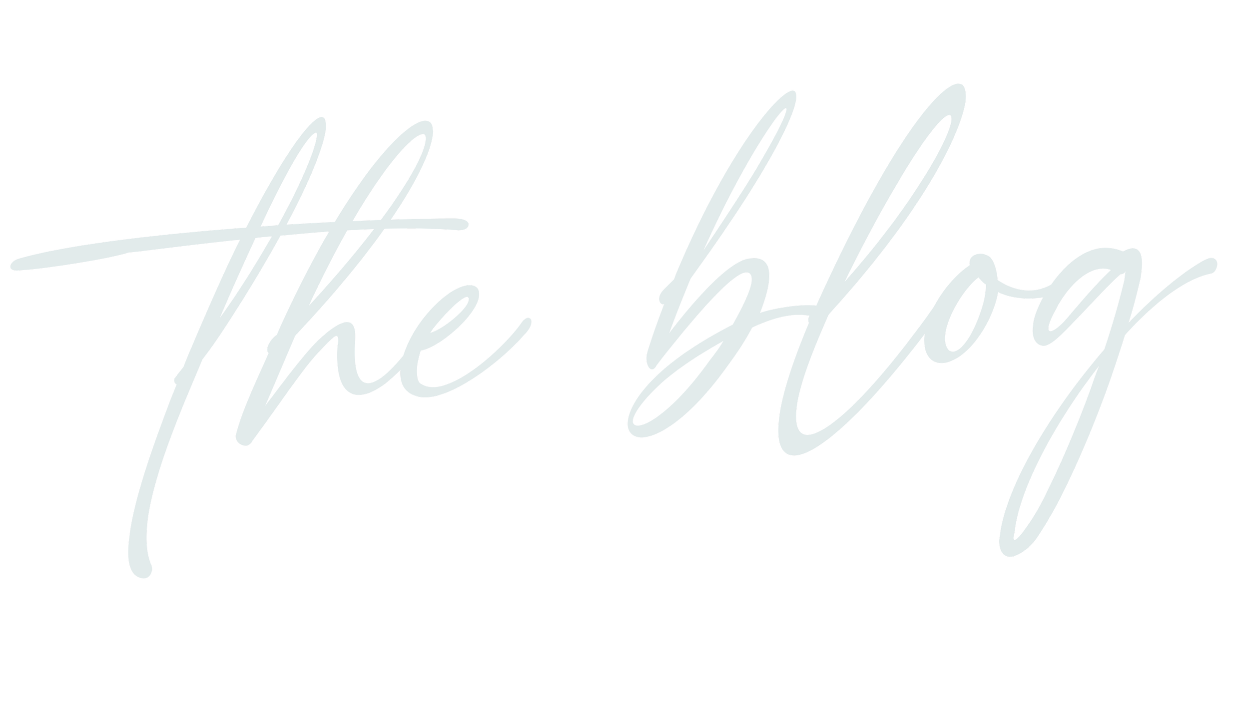 The image shows the words "The Blog" written in light teal cursive font on a black background.