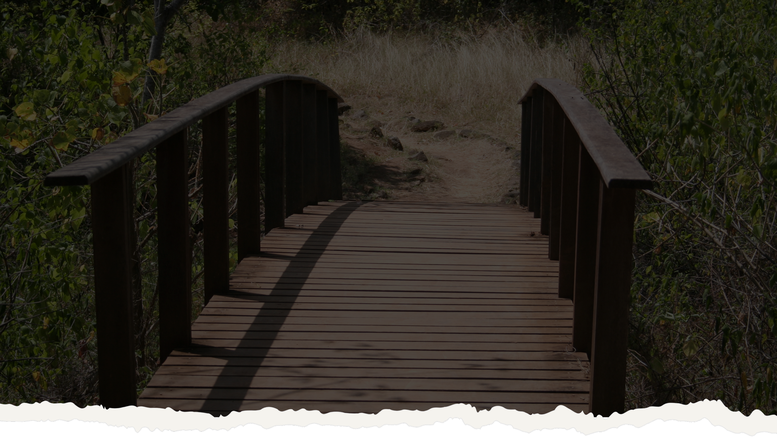 A small wooden bridge over a dirt trail in a forest with green foliage and dry grass.