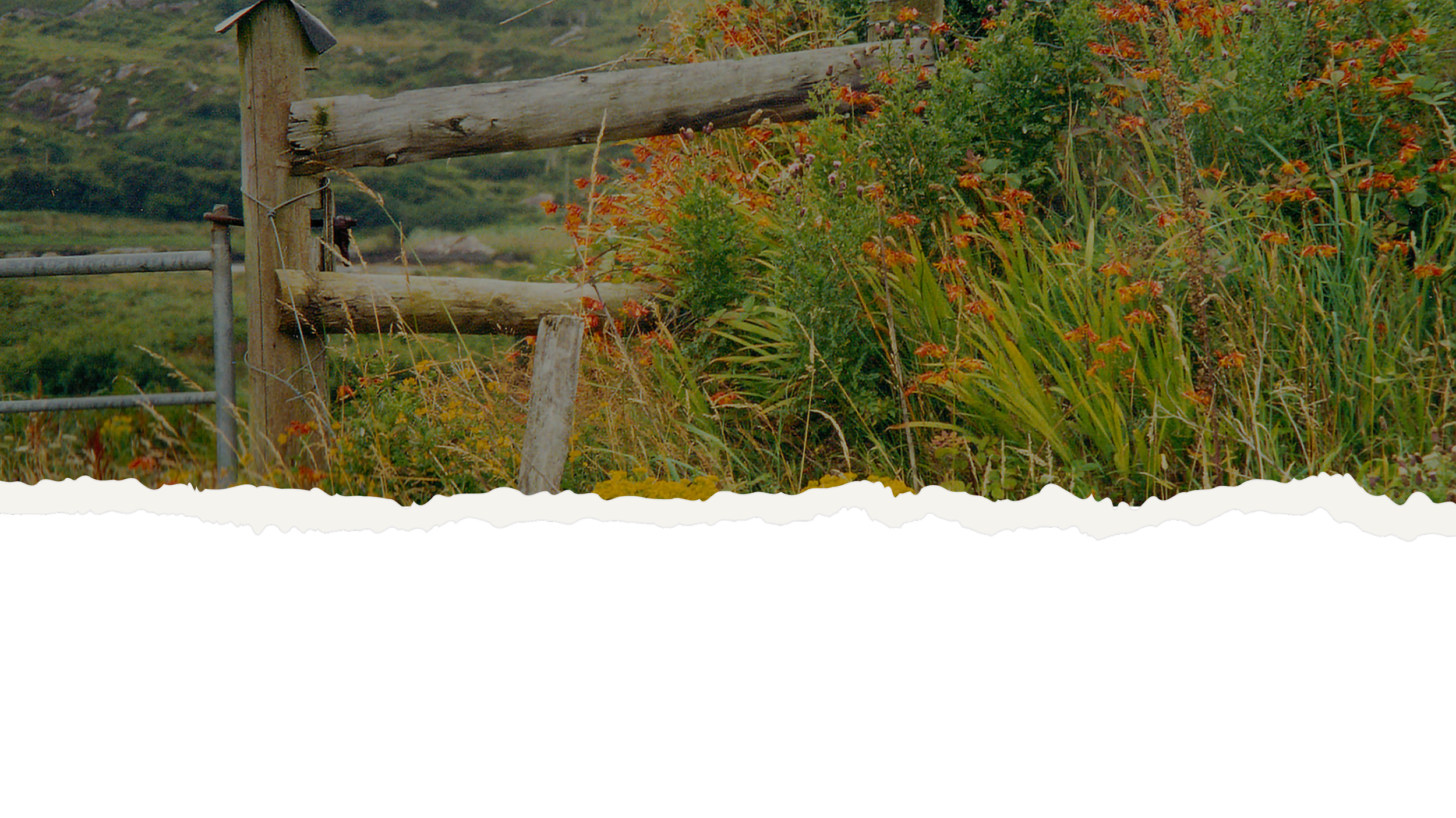 A rustic wooden fence with horizontal logs and metal posts surrounded by tall green grass and orange flowers, with hills in the background.