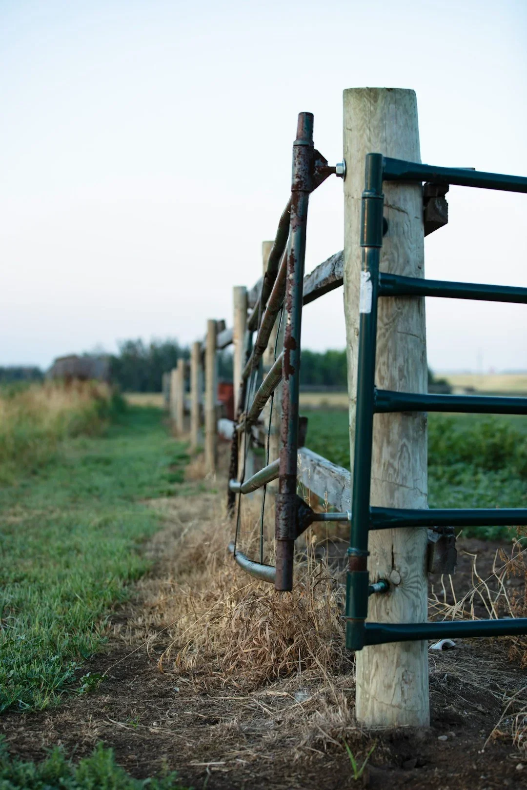 Rural fence with metal and wooden posts stretching into the distance across a grassy field
