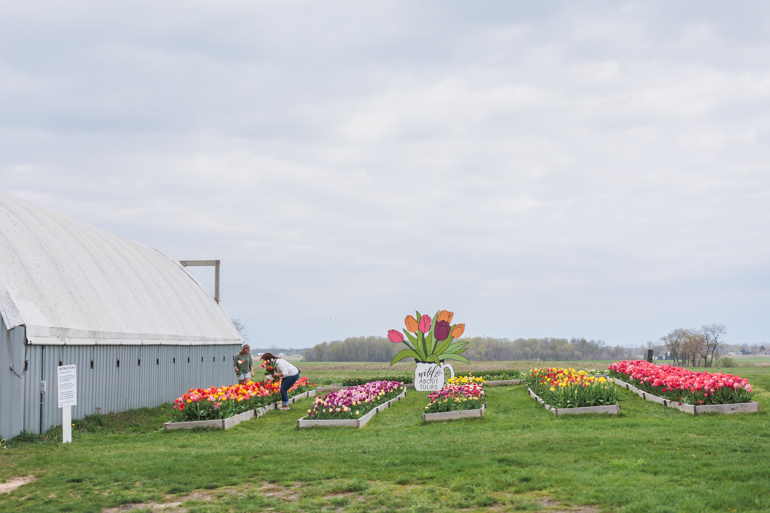 April 2026 (but really just thoughts on our tulip season)