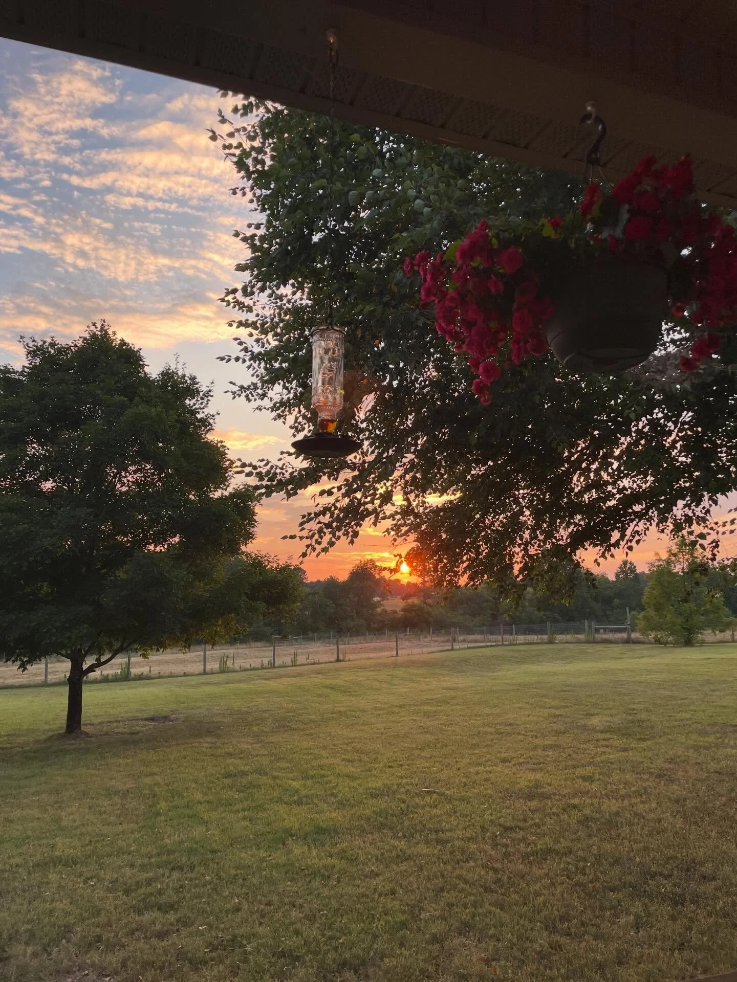 I woke up early today for some reason and decided to go sit on my porch with my coffee. 

I didn&rsquo;t bring my phone (this photo was from last year and it&rsquo;s a sunset). No one else was up. And I just sat.

I closed my eyes and heard squawking