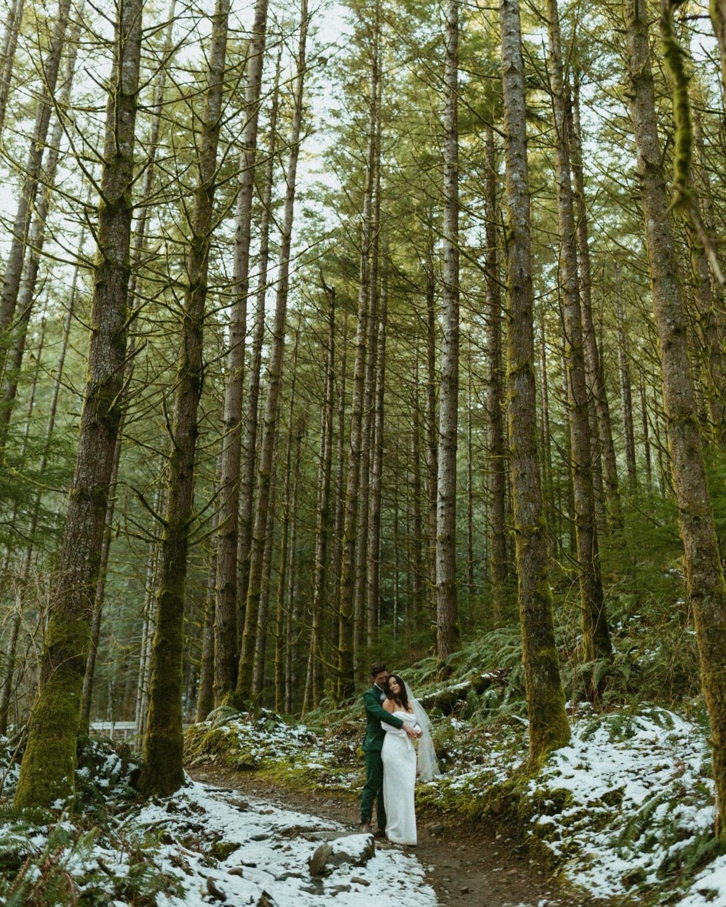 Sprinkled with snow and surrounded by mossy treetops sparkling in the spring sunshine 🌲🌞

For a brief moment in time, the forest was our home. We met Briana and Michael atop a mountain blanketed in forest. It was early spring and the last patches o
