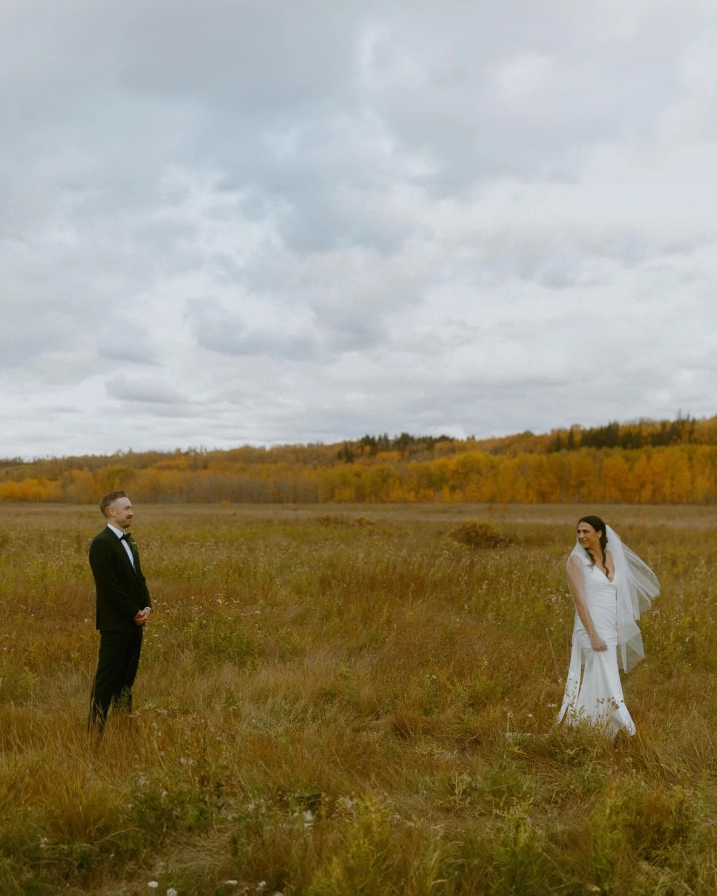 This autumn wedding amongst the glowing orange trees was bliss. 

My one true autumn wedding from last year, second shooting for @jillcoursenphoto, was one I was so lucky to be a part of. The trees were absolutely popping off with yellow &amp; orange