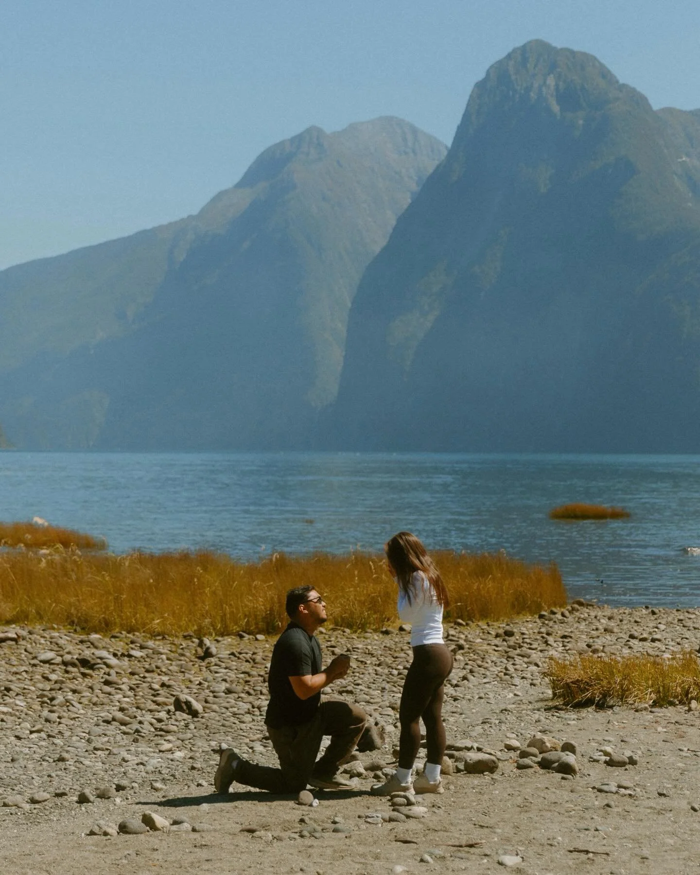 The universe works in the most magical ways ✨ 

While walking along the Milford Sound Foreshore Track, I spotted a couple on the beach. They had a tripod set up for their phone, and he was really really talking to her. I knew immediately what was abo