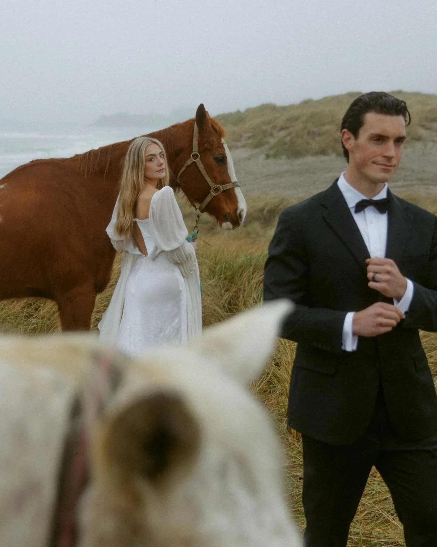 Horses in the beach grass?! What more could I ask for?! 

This was the dreamiest evening on the lush Oregon Coast. The waves rolling in, the fog lifting as the rain turned to a small mist. Gulls &amp; geese soaring above. 

Pinching myself that these