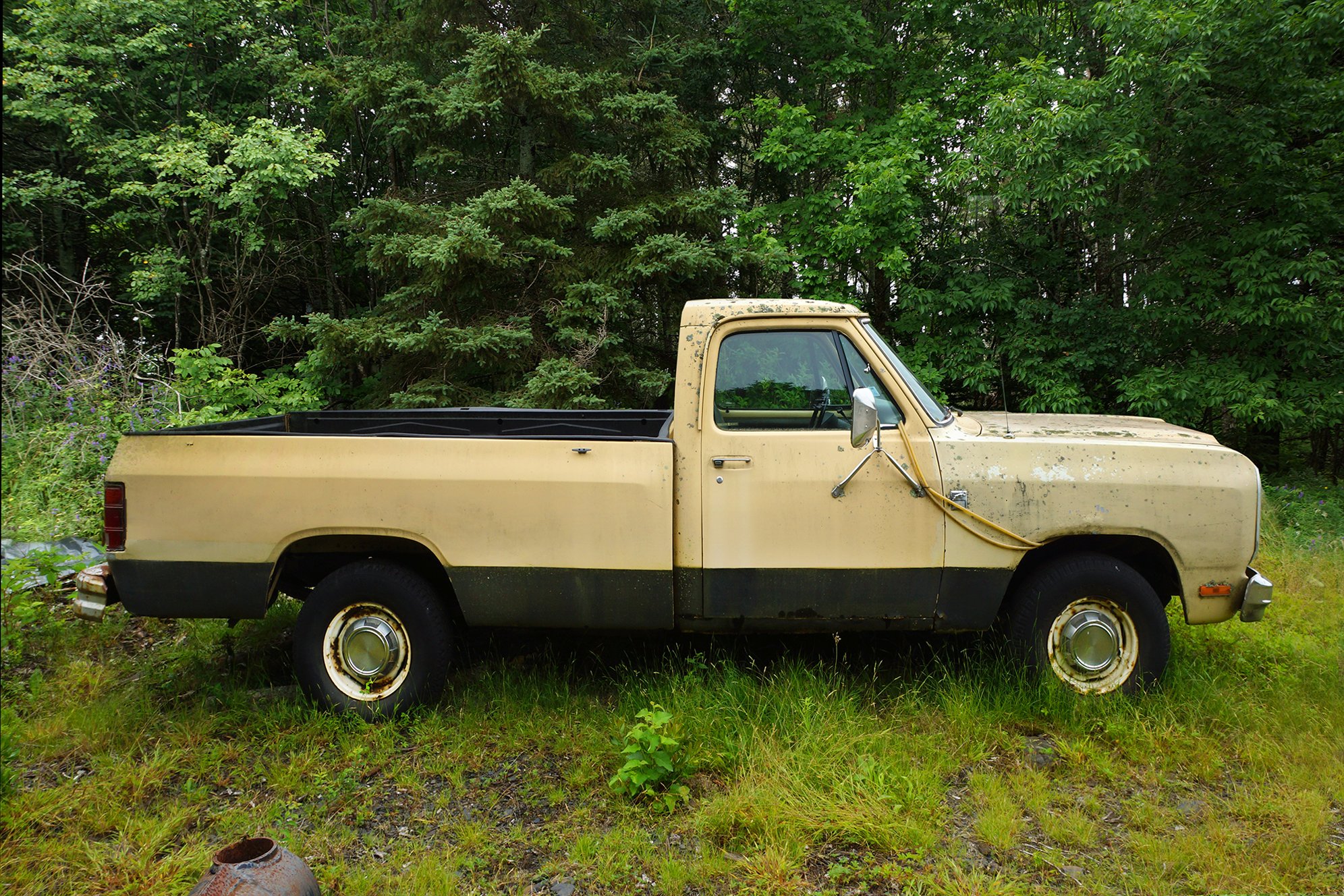 YELLOW PICKUP