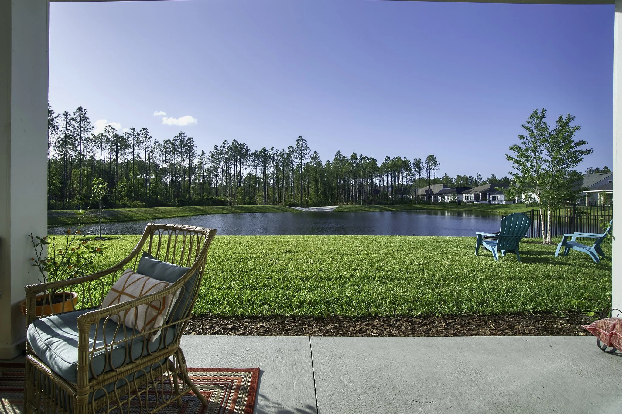Backyard_MLS.jpg