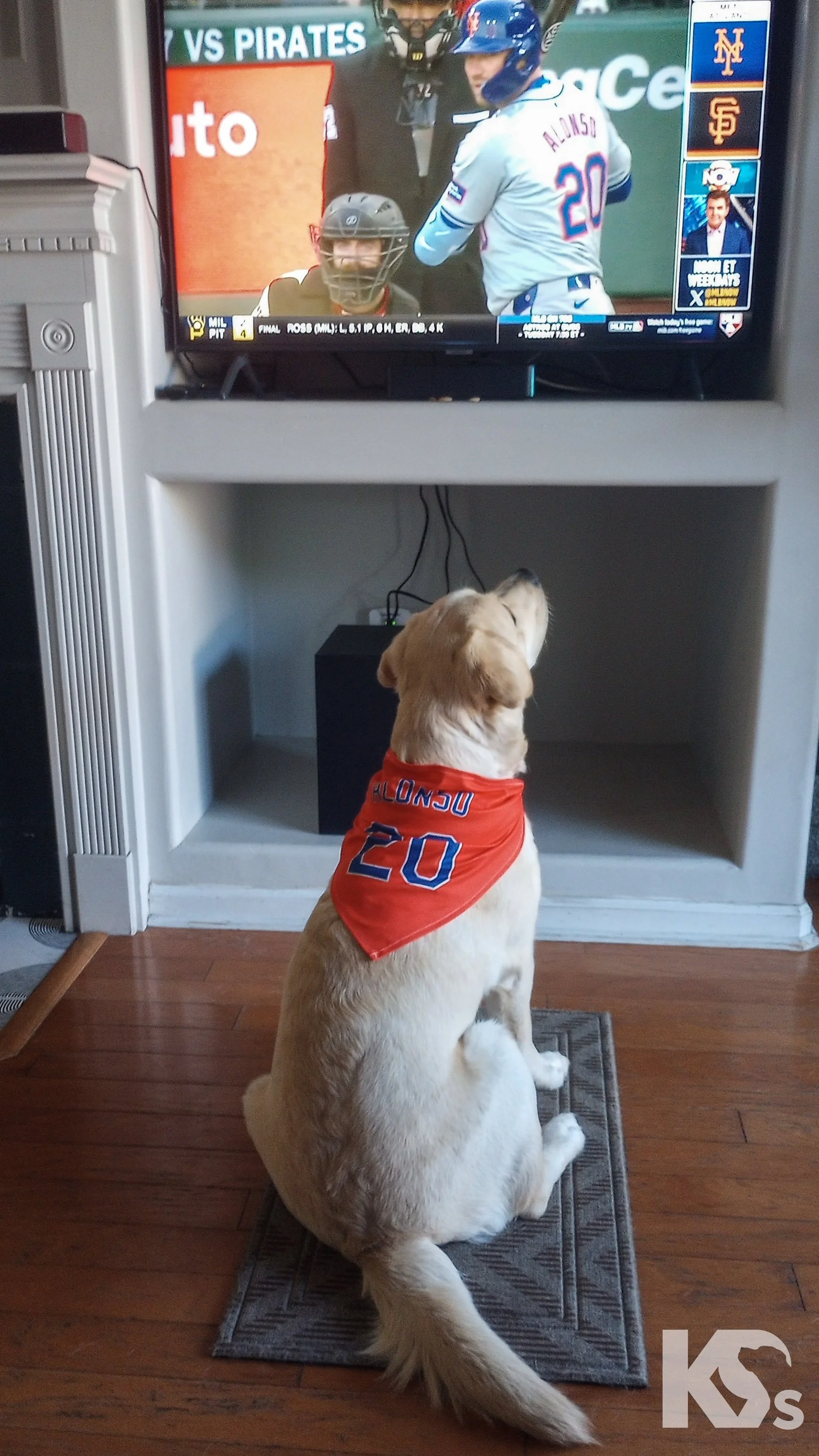 Derby Watching Pete.jpg