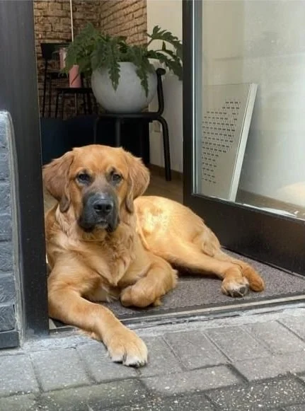 WhatsApp Image 2024-12-17 at 09.36.02.jpg