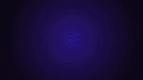 giphy (3).gif
