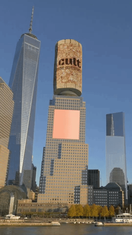 giphy.gif