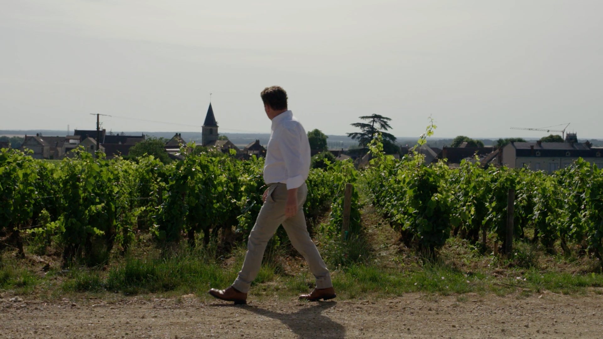 JN291_CULT_WINES_RSVGC_OLIVIER_BERNSTEIN_CINEMATIC_PROFILE_MASTER.00_02_27_20.Still017.jpg