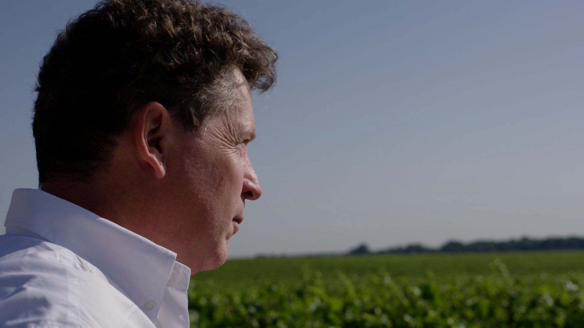 JN291_CULT_WINES_RSVGC_OLIVIER_BERNSTEIN_CINEMATIC_PROFILE_MASTER.00_02_15_19.Still013.jpg