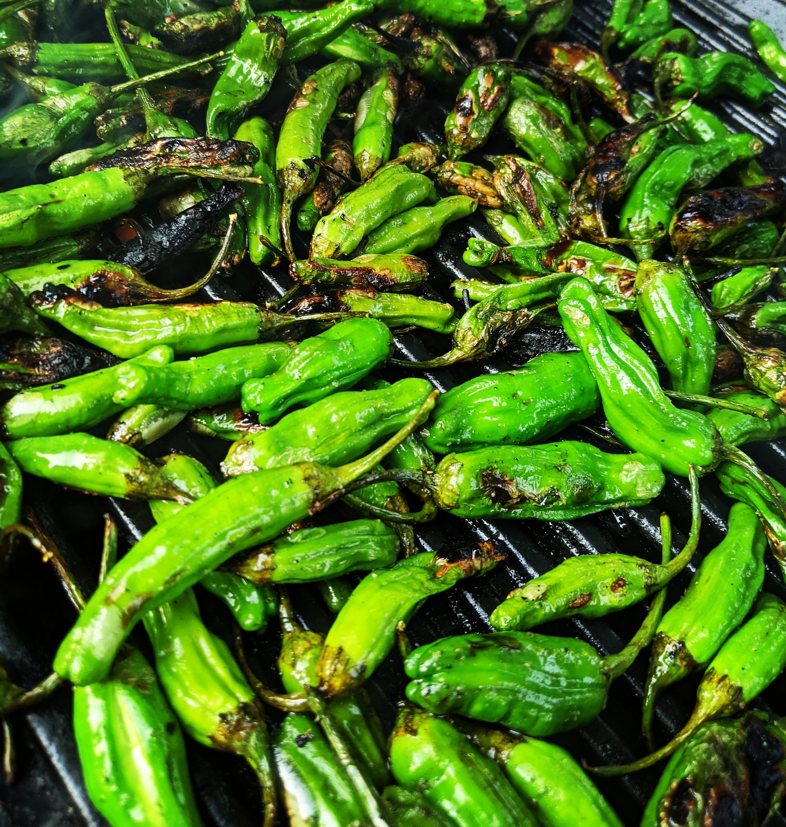 Shishitos Peppers