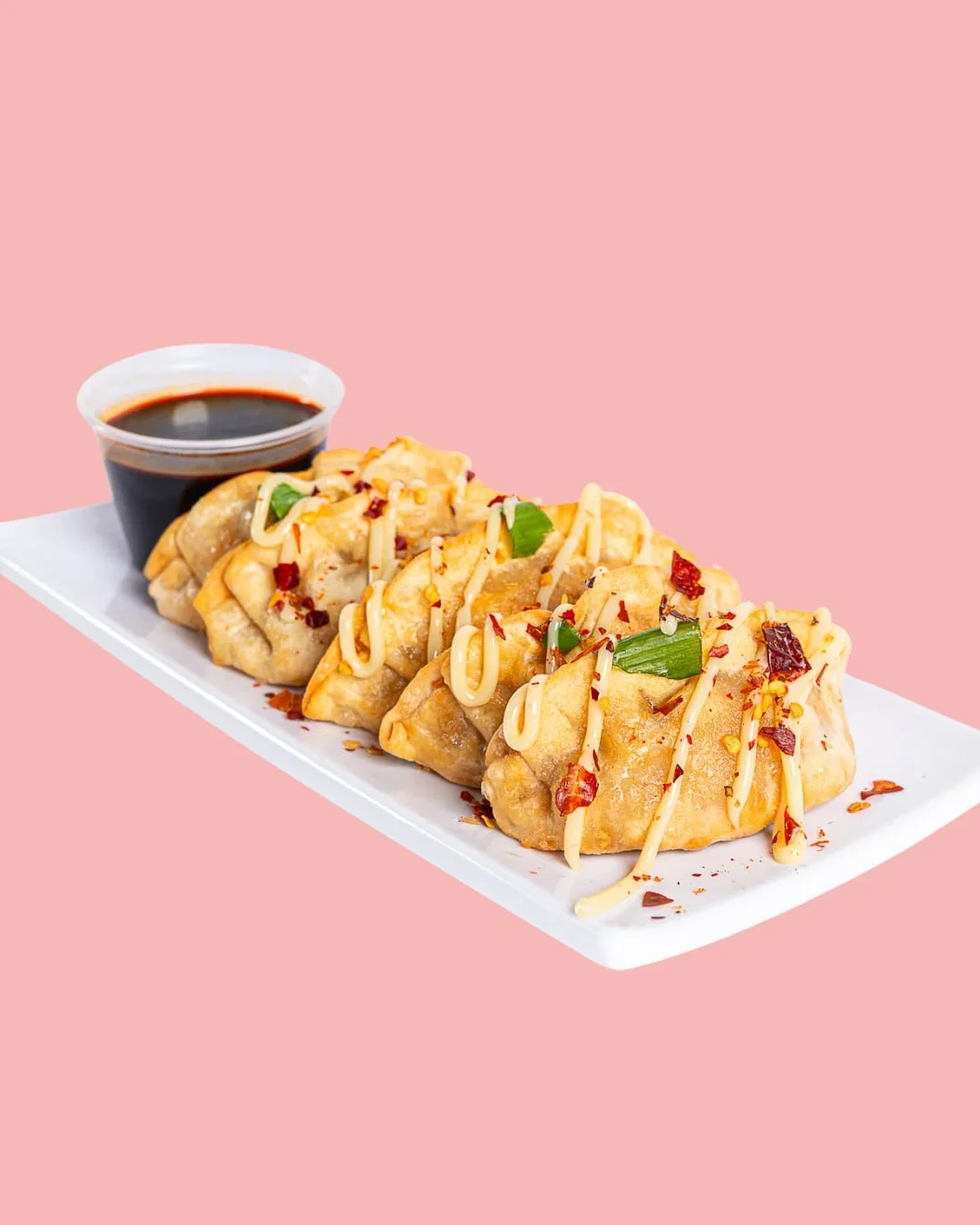 Pork Dumplings