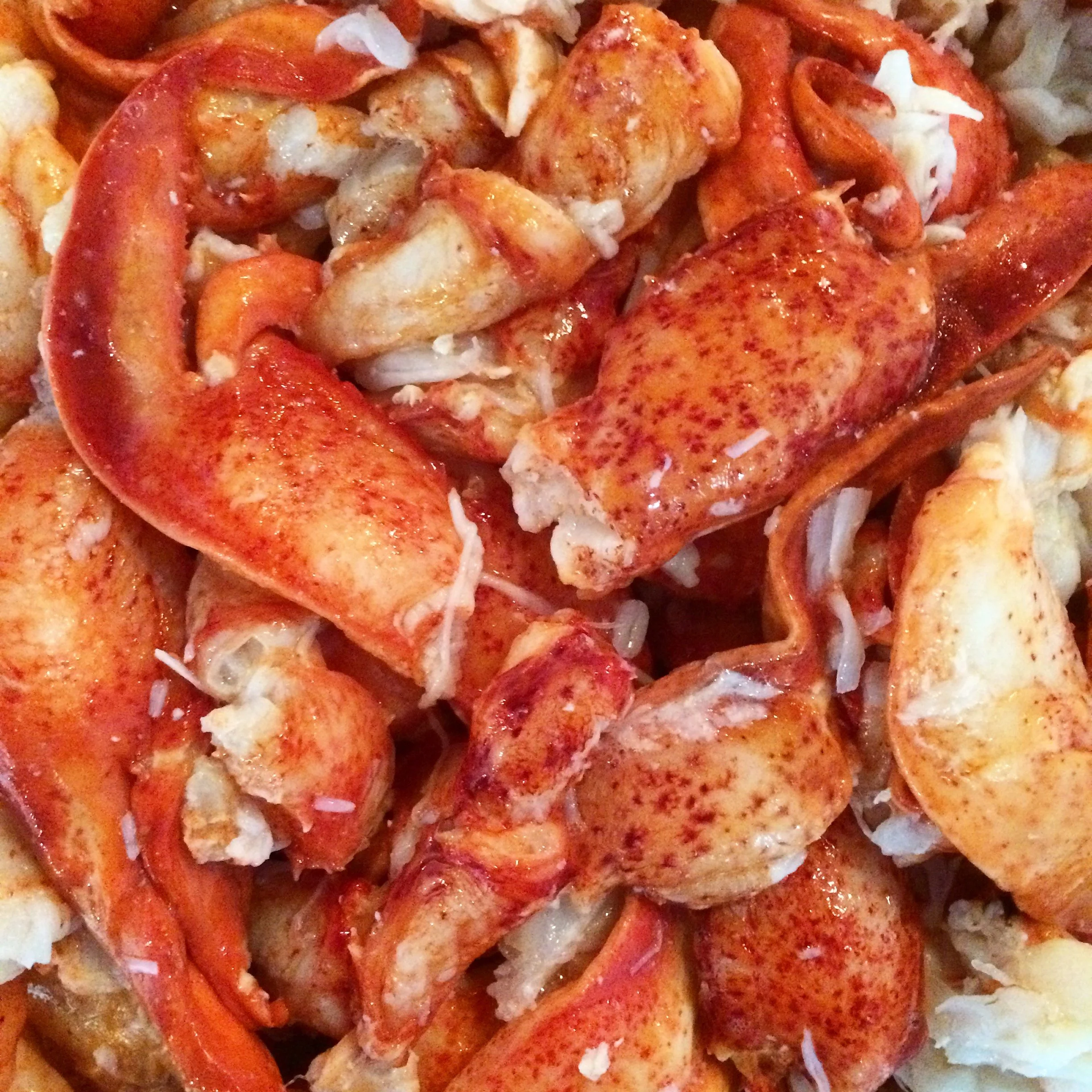 Lobster IG.jpg