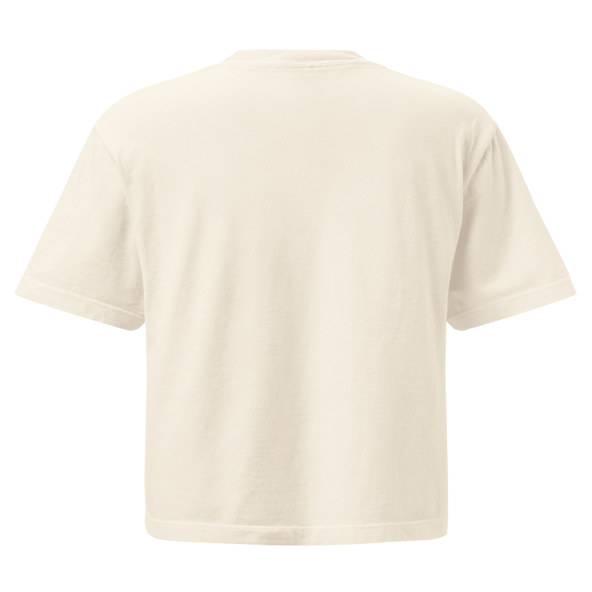 womens-heavyweight-boxy-t-shirt-ivory-back-6a404f9c72555.png