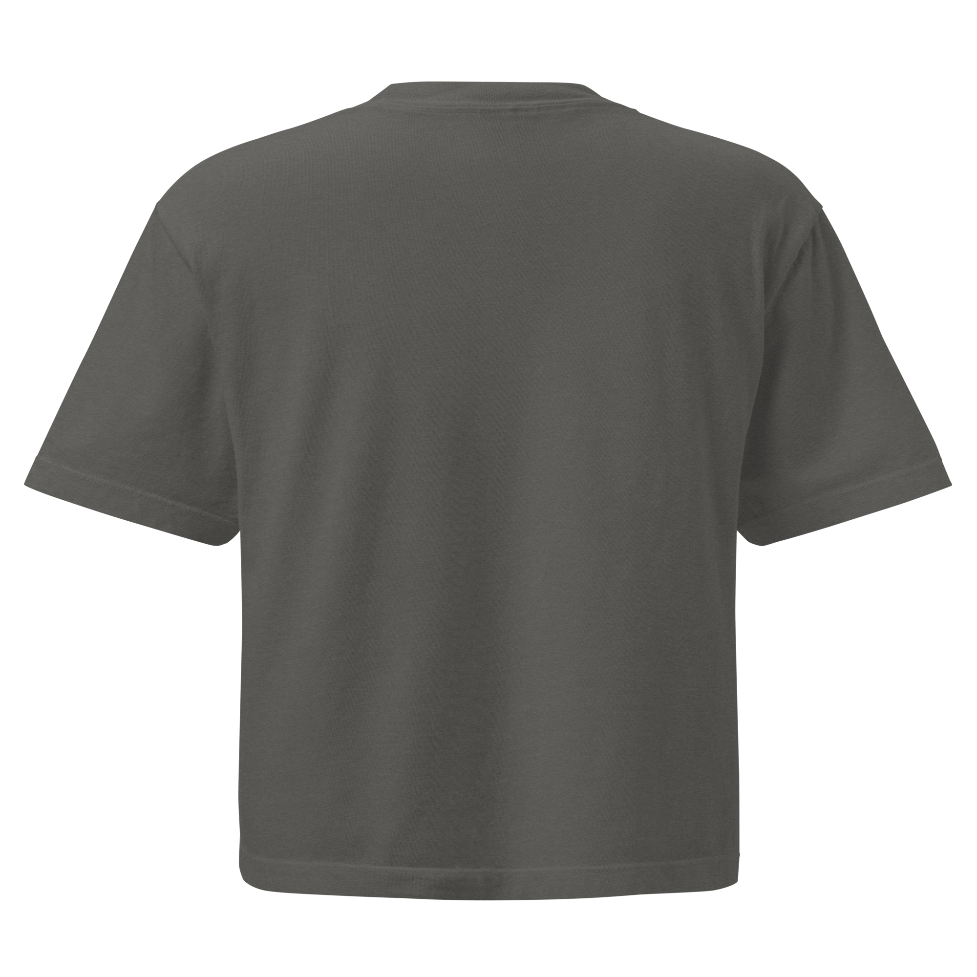 womens-heavyweight-boxy-t-shirt-pepper-back-6a40517eac963.png