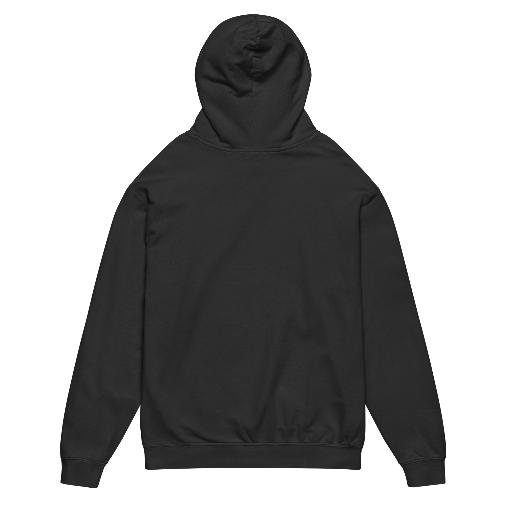 unisex-garment-dyed-lightweight-fleece-hooded-sweatshirt-i-comfort-colors-1467-black-back-6a404a911678a.png