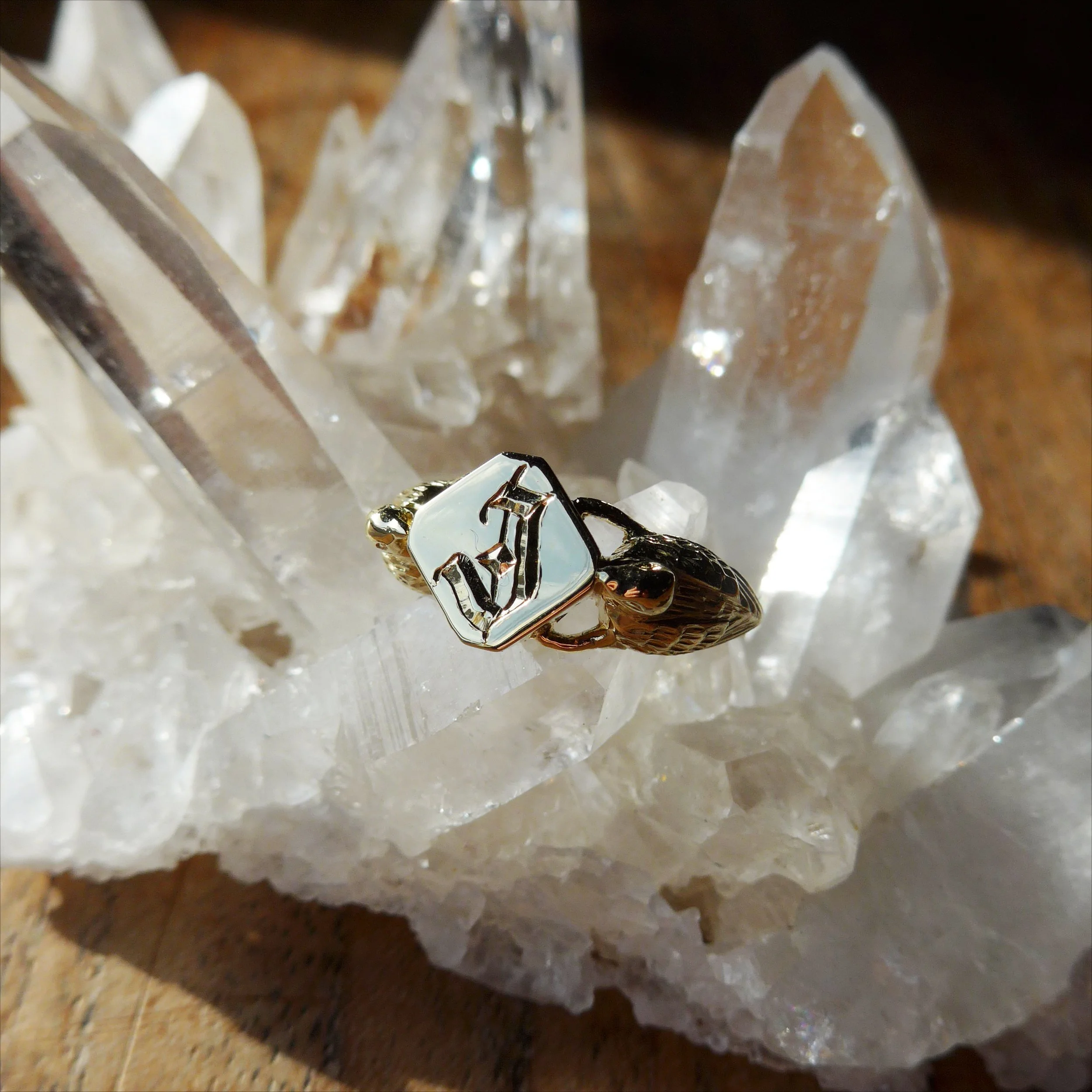 R0295-Signet_1.jpg