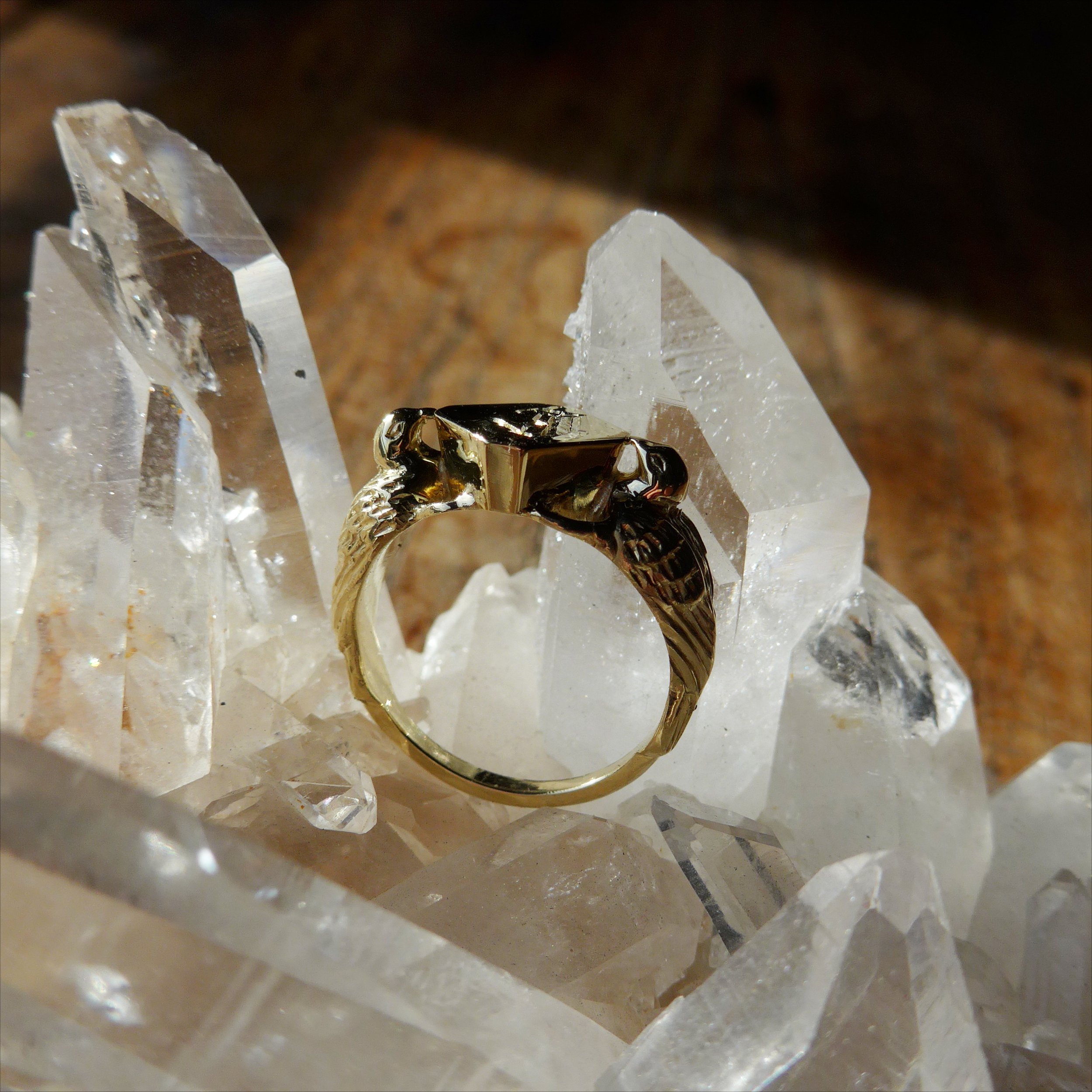 R0295-Signet_2.jpg