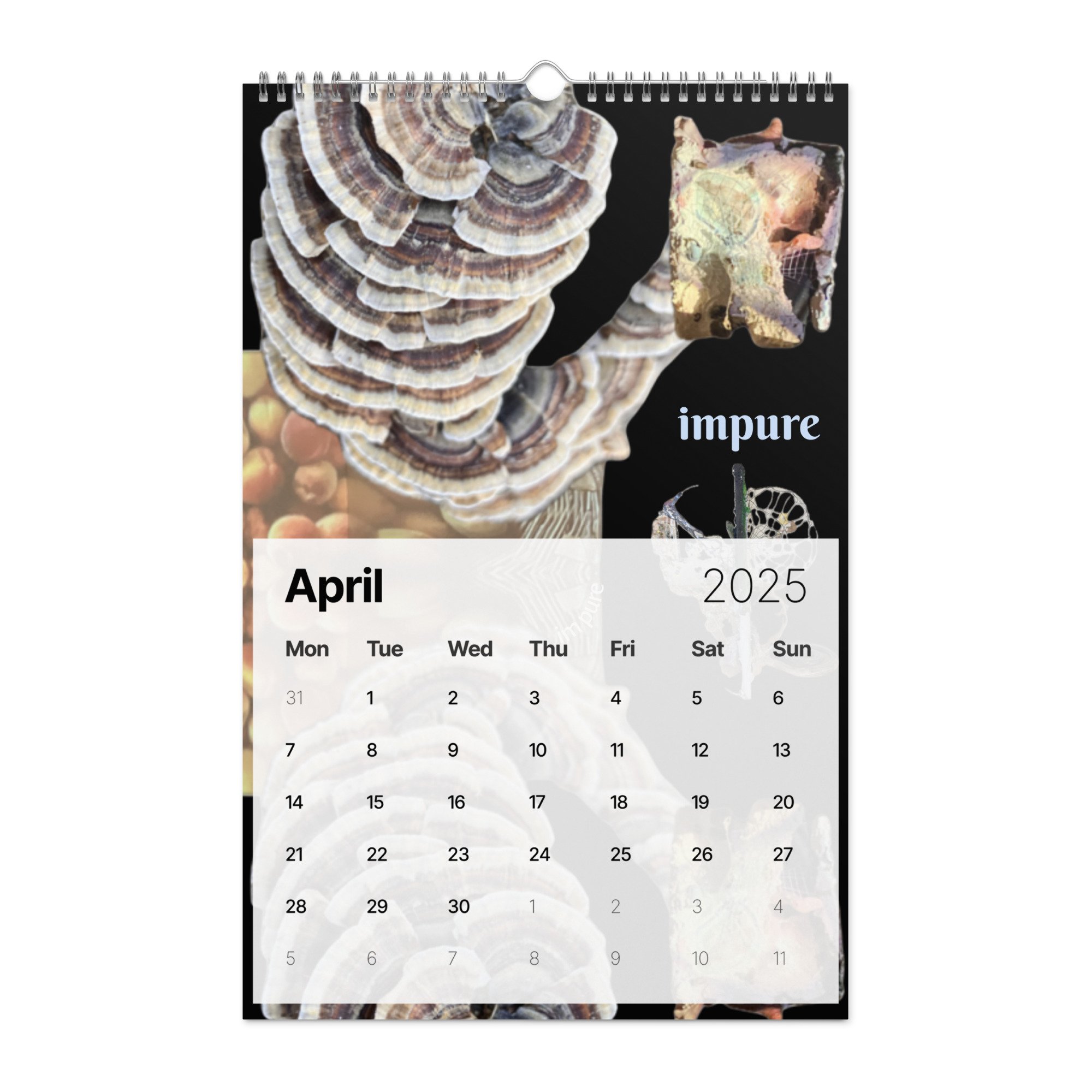 wall-calendar-(2025)-start-w-mon-11x17-front-67870e922a982.jpg