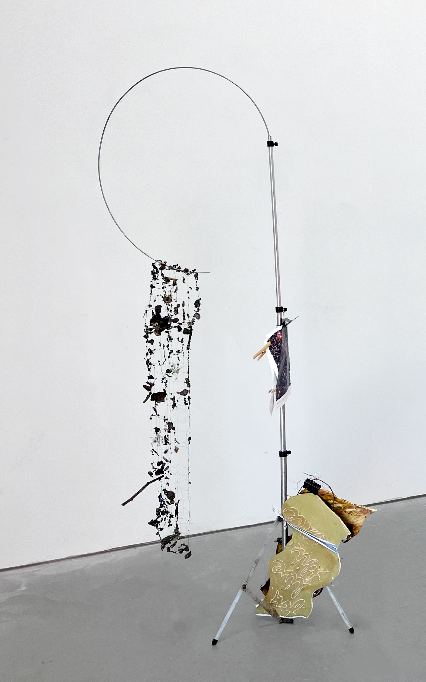 "pamela anderson", hand sewn net, pebbles and dried flowers, national geographic photo, tripod, ceramic, root, clip, 2026