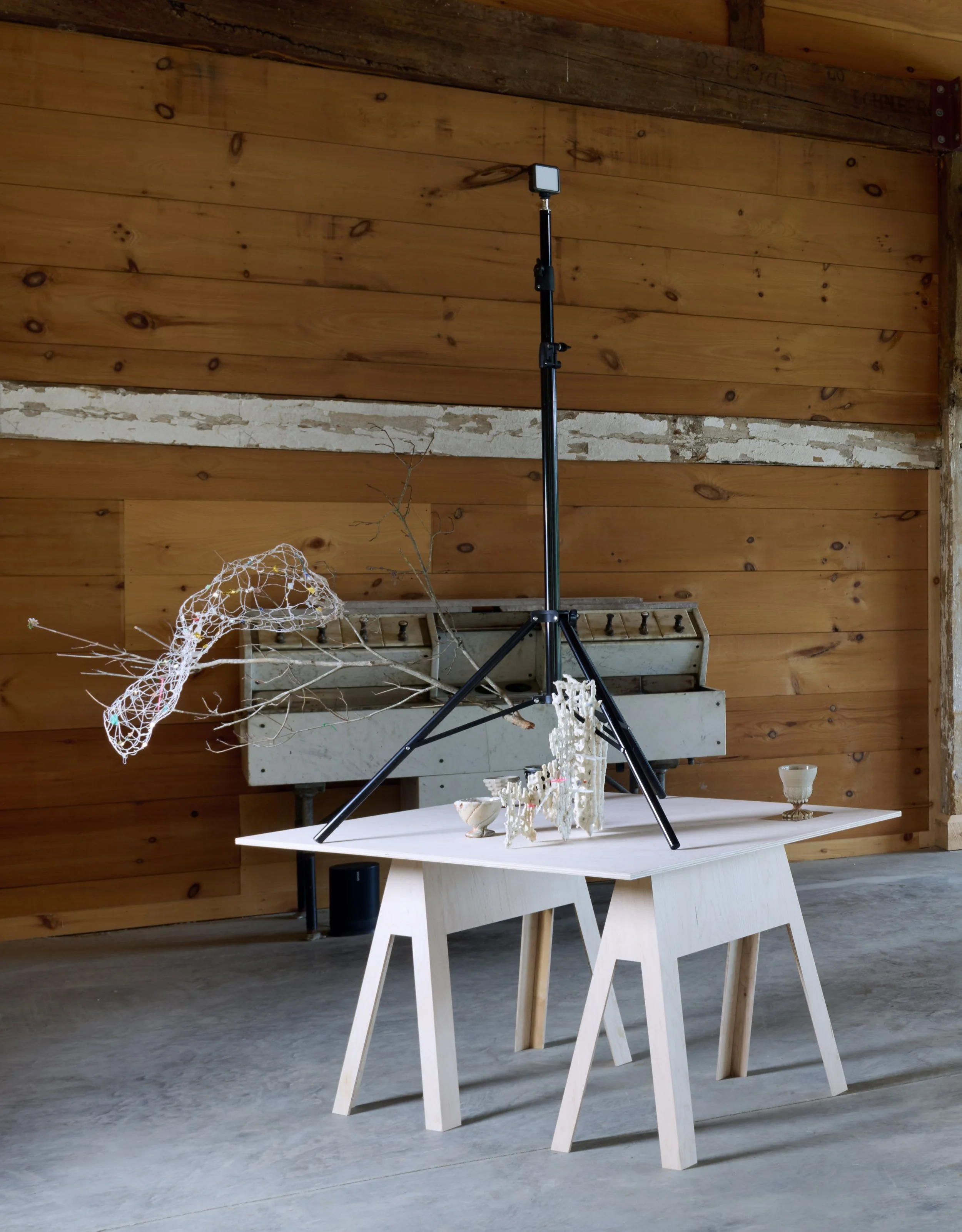 found growth, hand sewn net, tree branch, ceramic slip casted nets, tripod, light, 2026