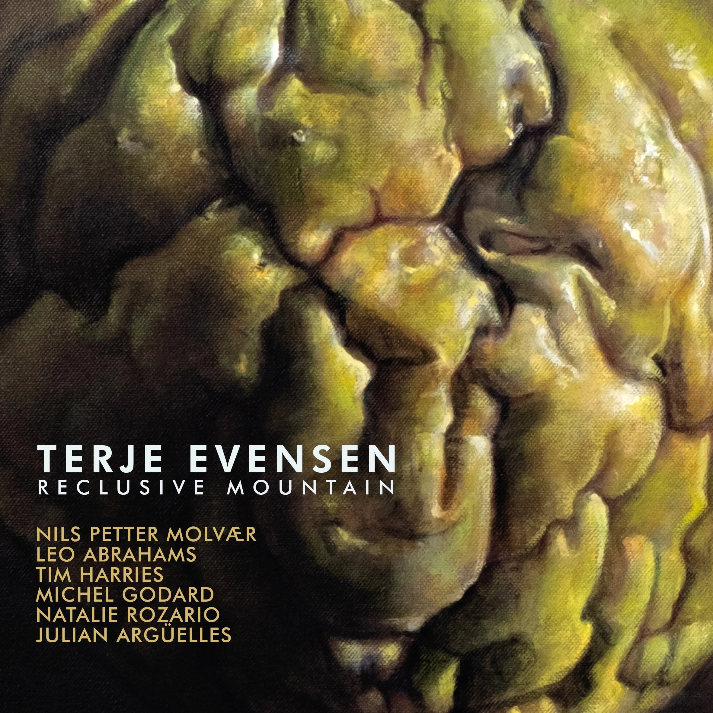 TERJE EVENSEN COLOUR 2 FIN- RECLUSIVE MOUNTAIN.jpg
