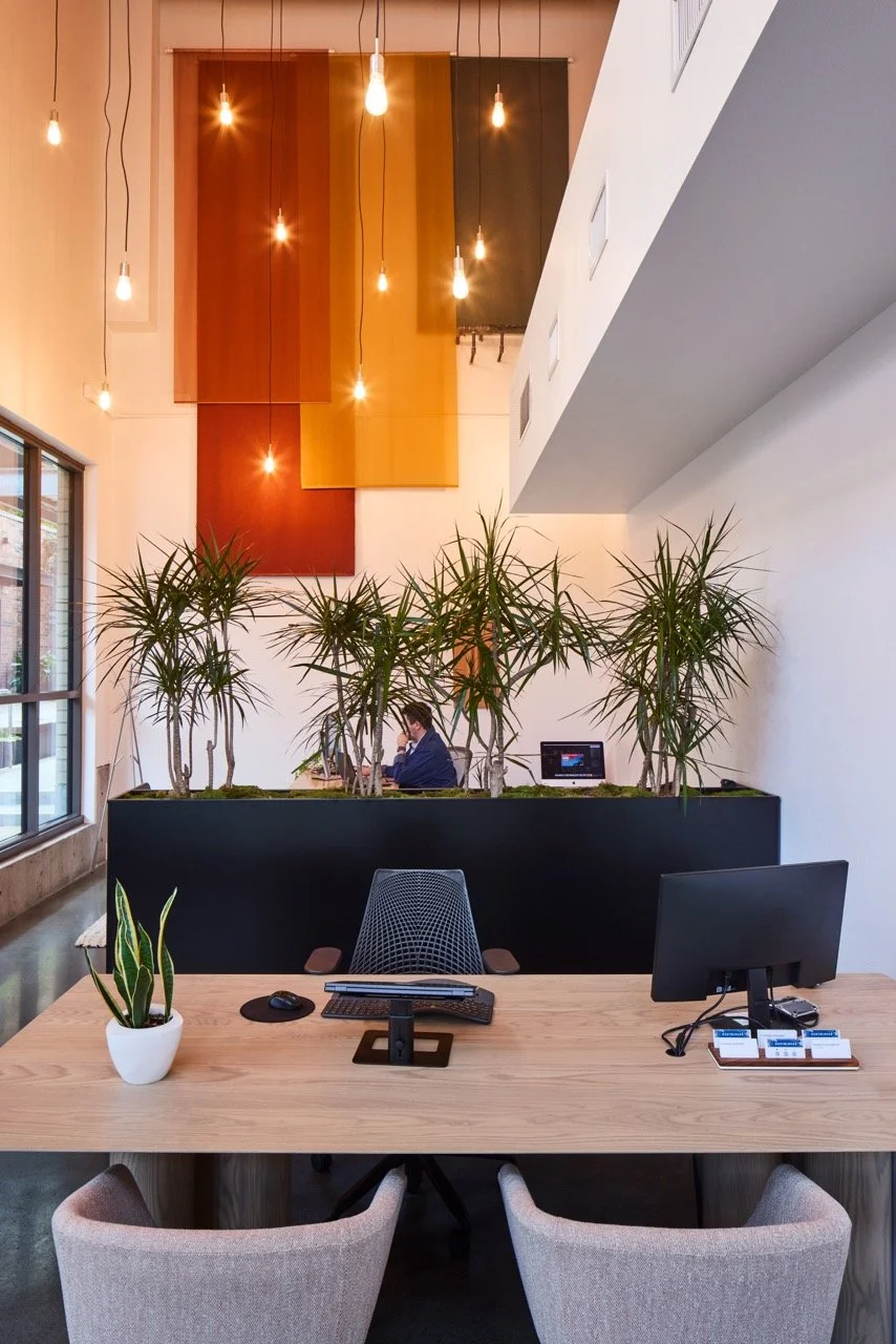 Bright modern leasing office in a multifamily development in Portland, Oregon featuring a custom reception desk, biophilic design, exposed Edison bulb pendants, custom steel planter, and a colorful fabric art installation in a double-height space