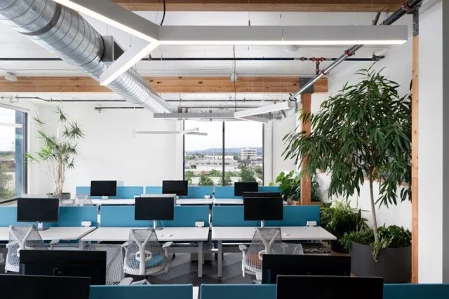 Creative office interior in Portland, Oregon featuring hot desking, playful turquoise acoustic panels, modern architectural lighting, exposed ductwork, floor-to-ceiling windows, and biophilic design elements