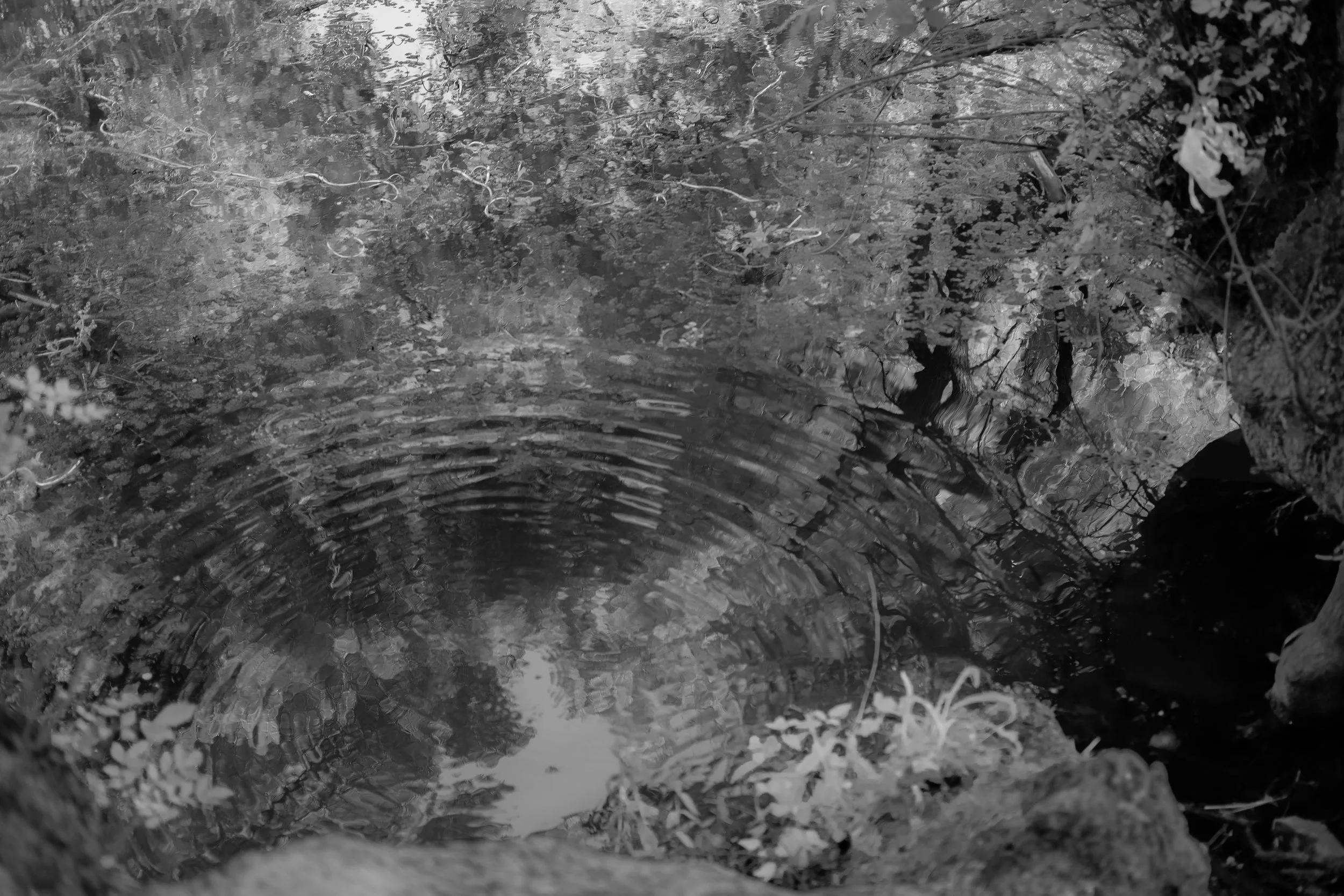 Home Away from Home with Hiba Dahibi هبة داهبي