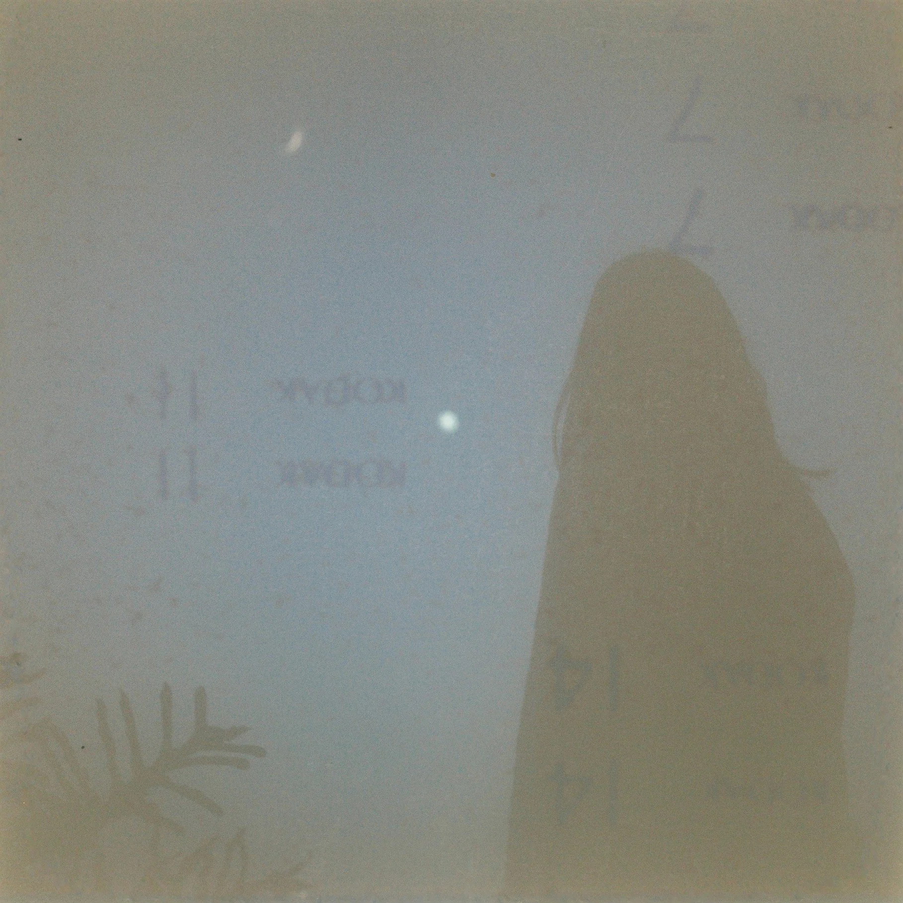 000009.JPG