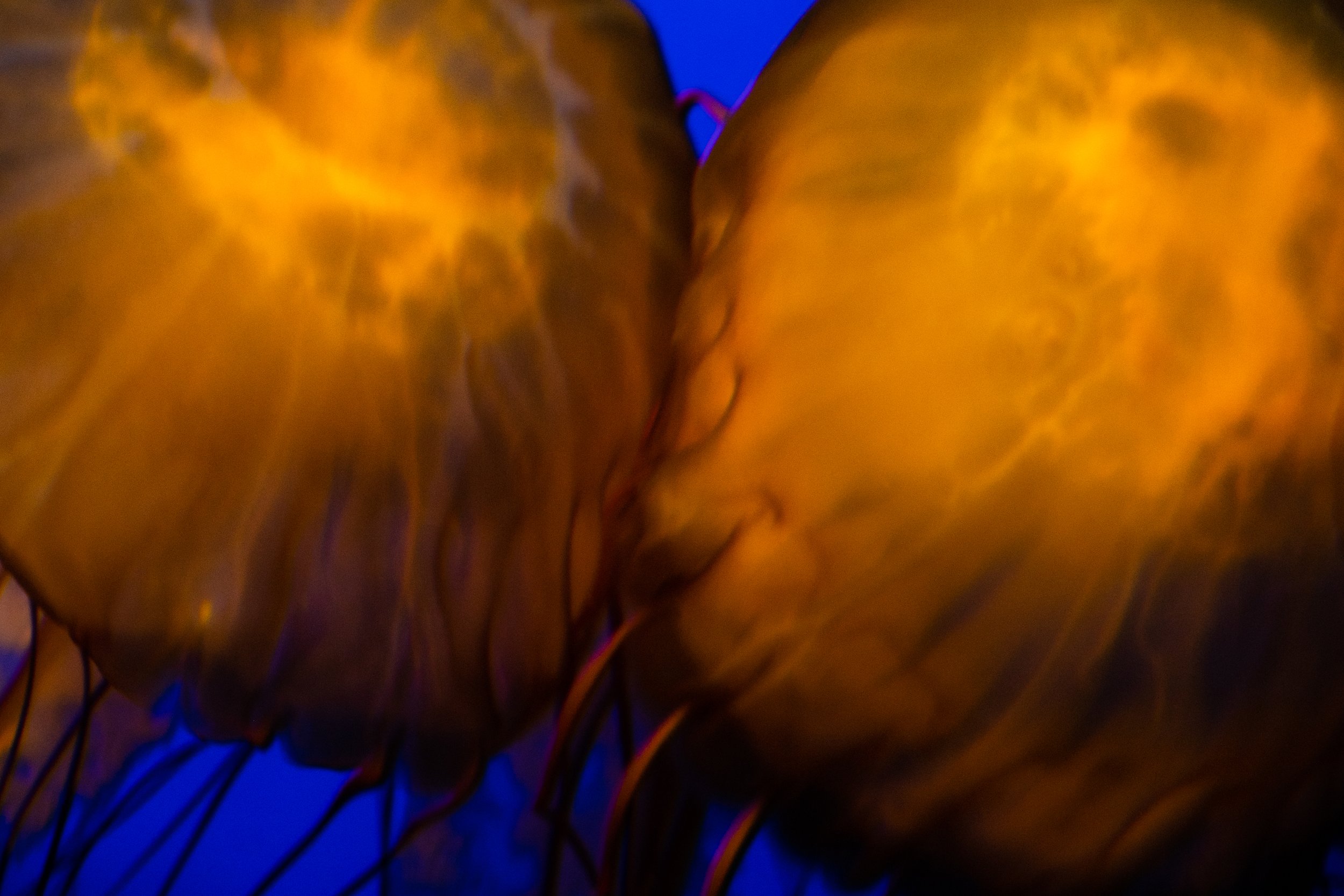 01_DSC_3668.jpg